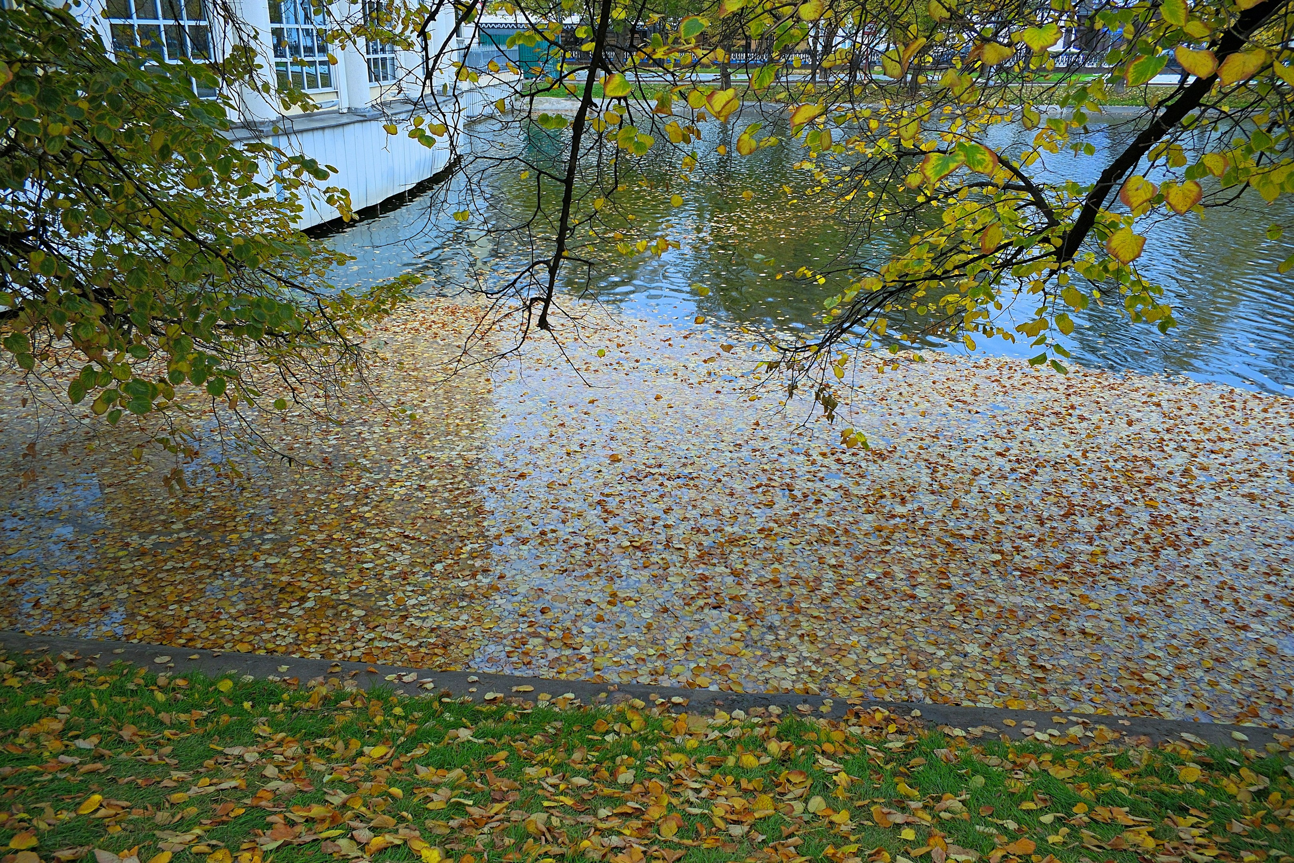 Улица, люди, жизнь…