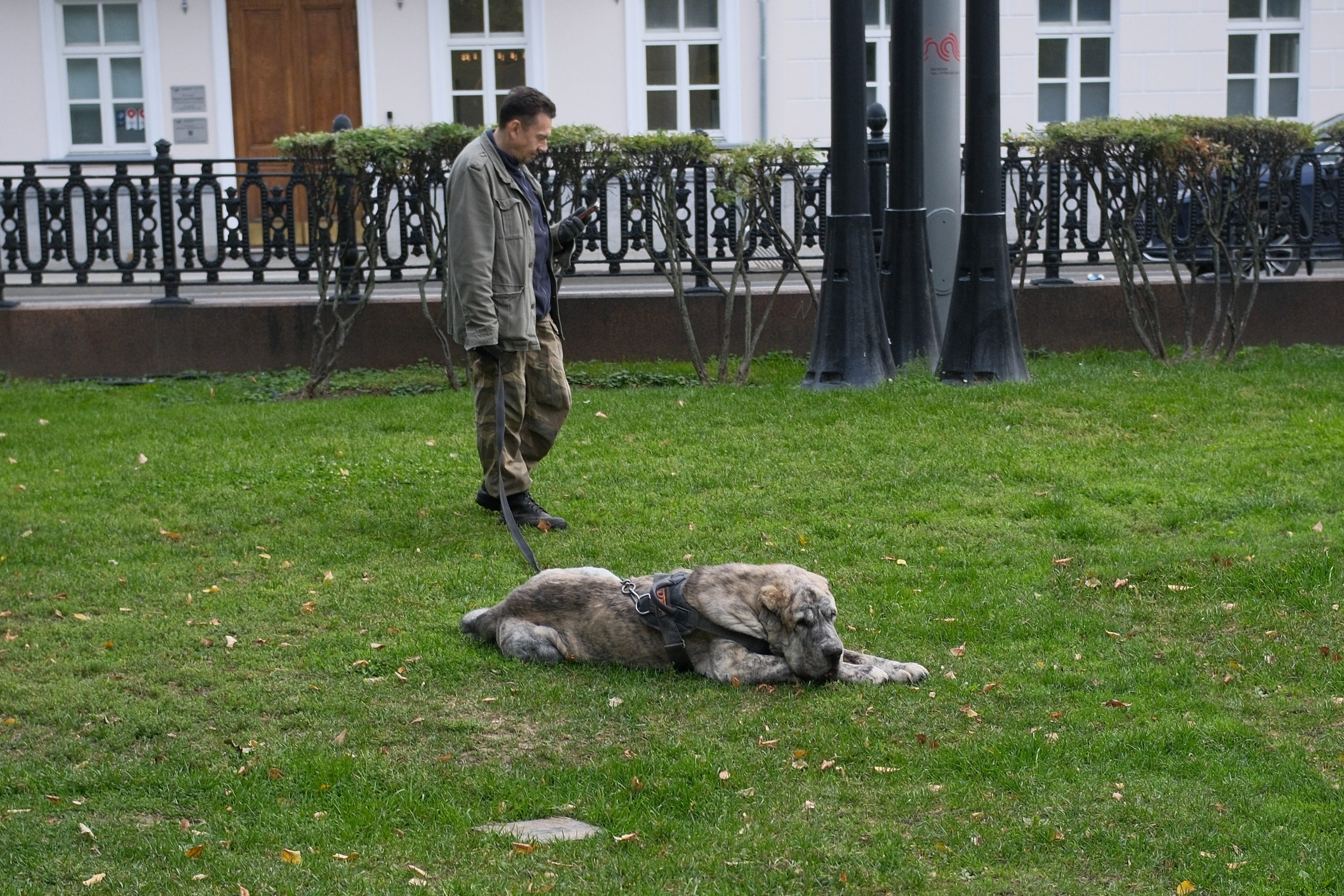 Улица, люди, жизнь…