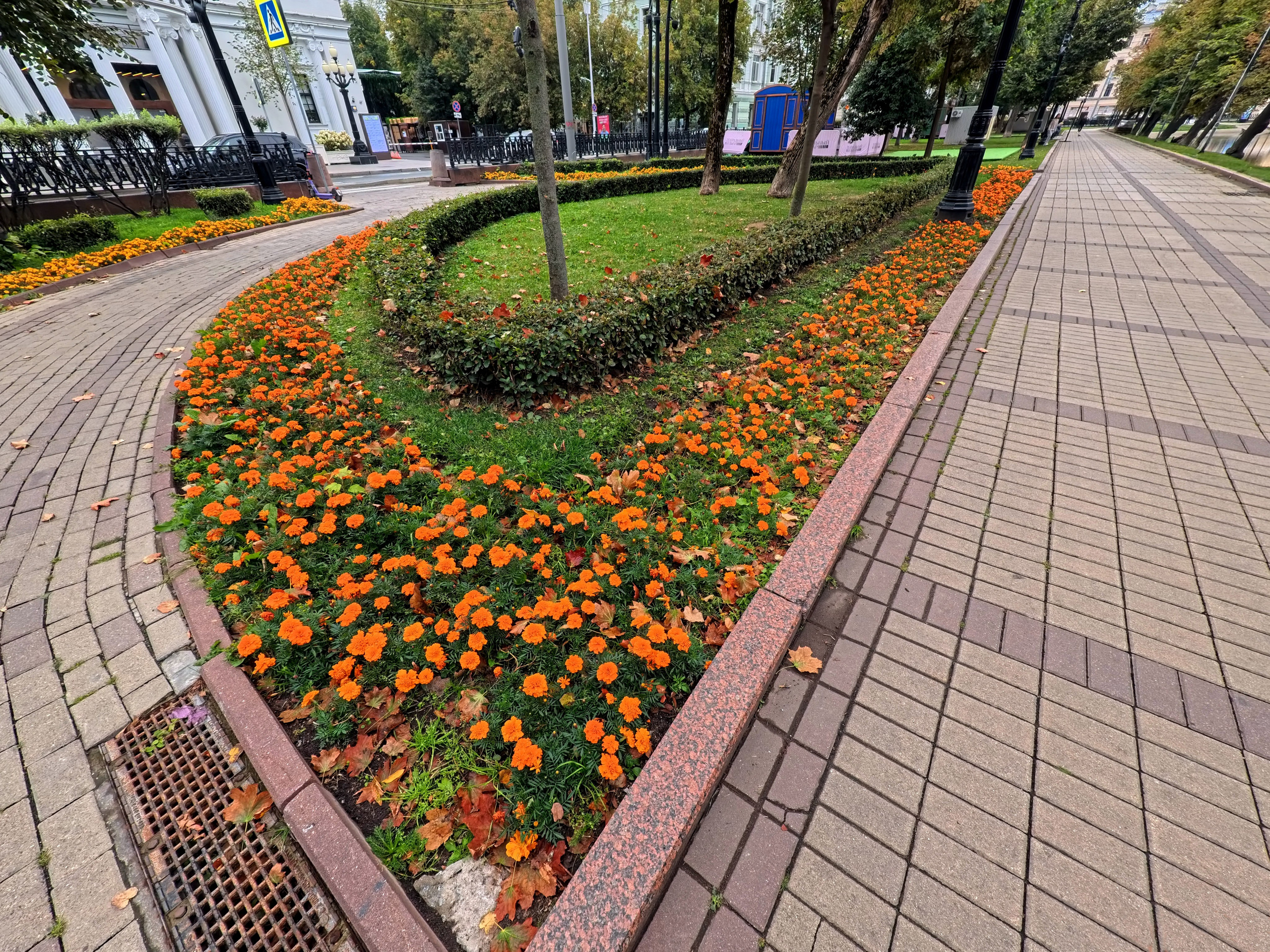 Улица, люди, жизнь…
