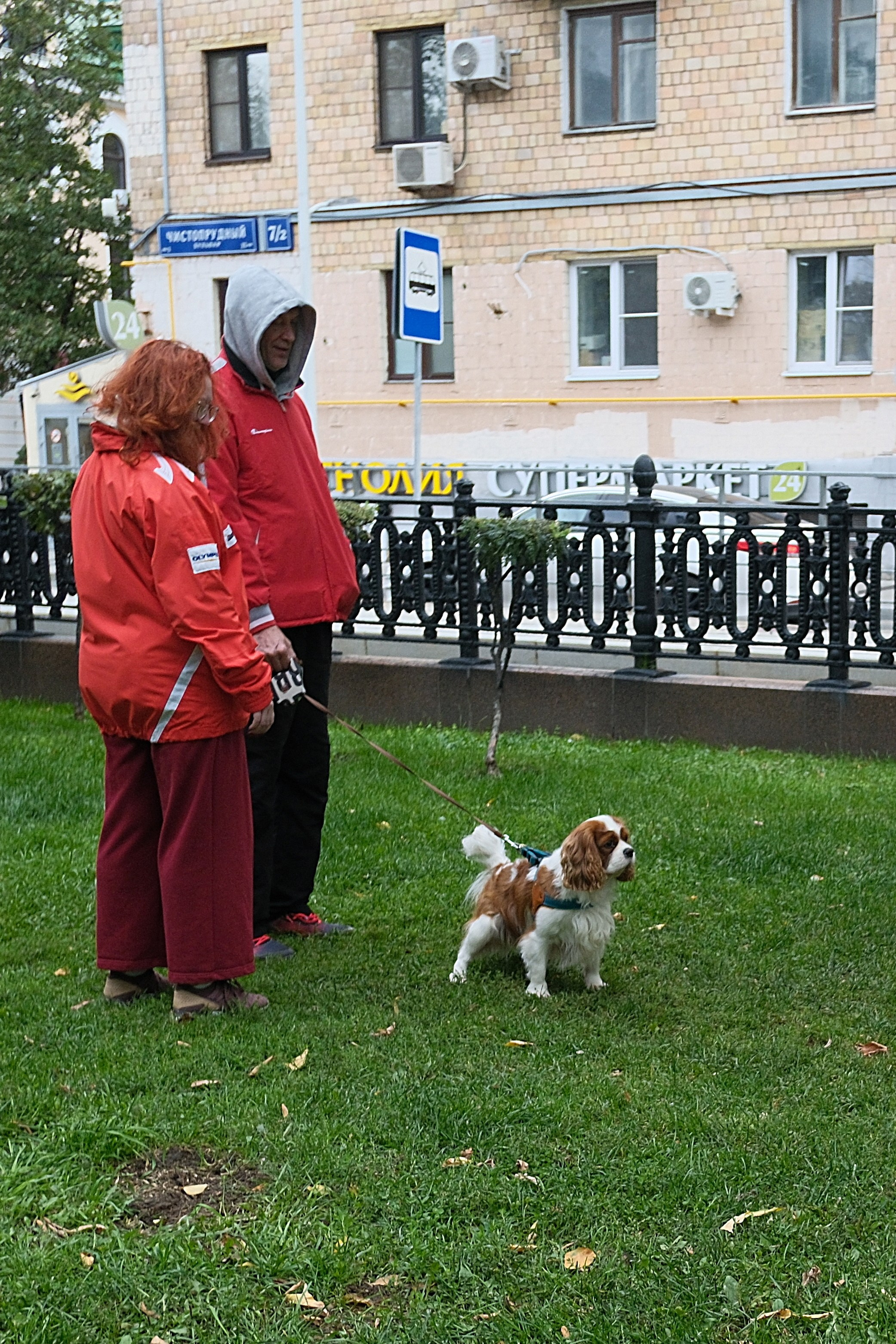 Улица, люди, жизнь…