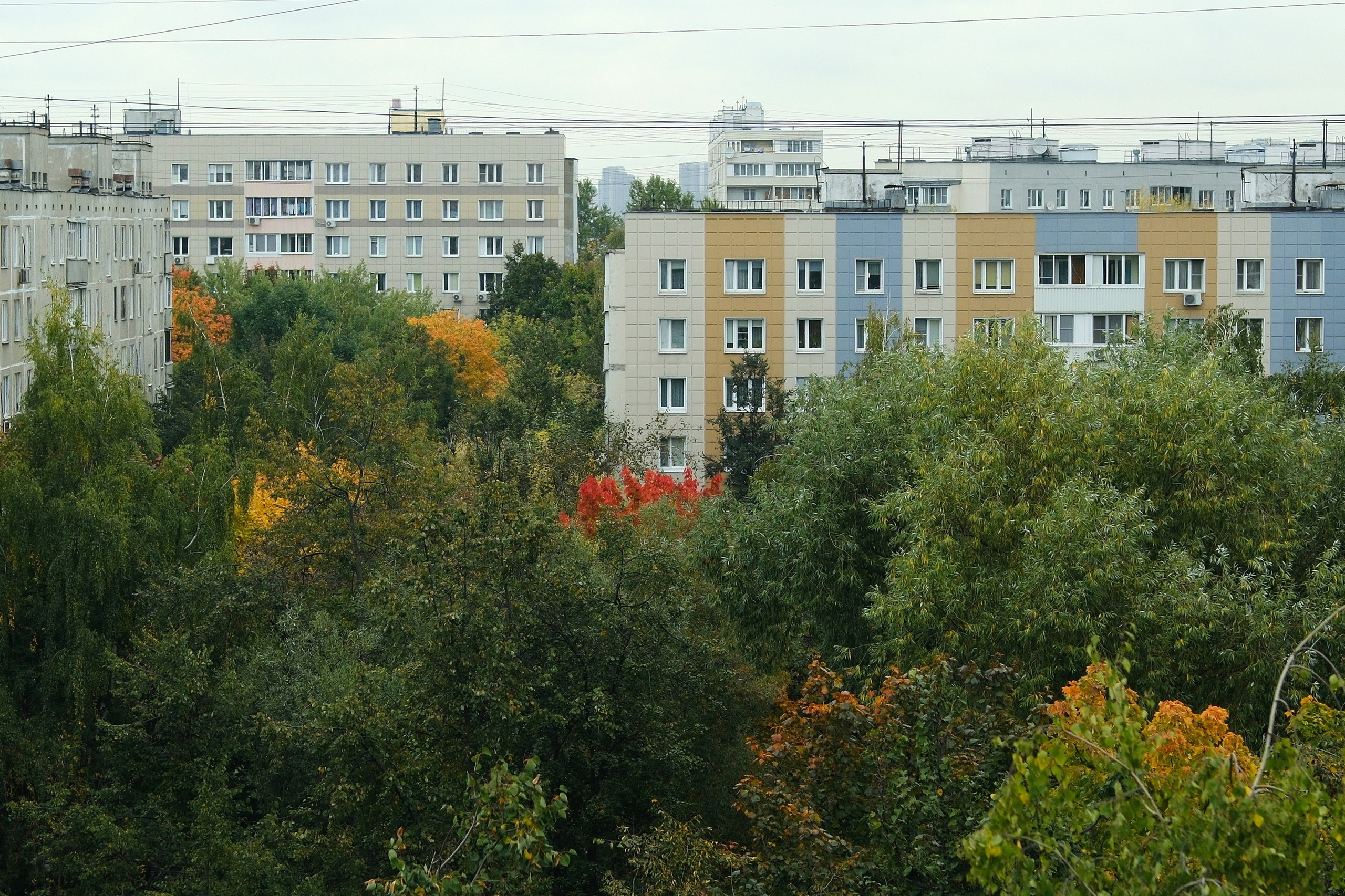 Улица, люди, жизнь…