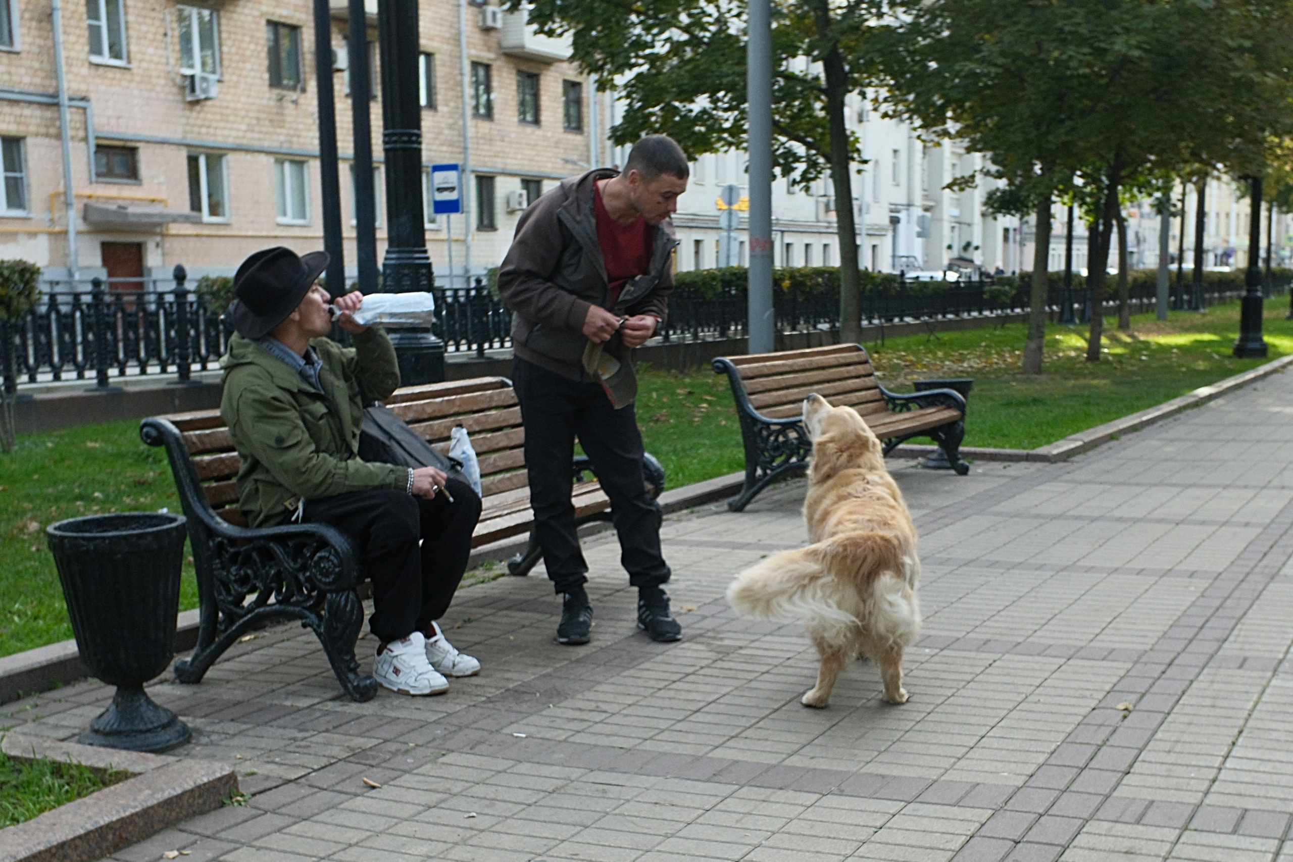 Улица, люди, жизнь…