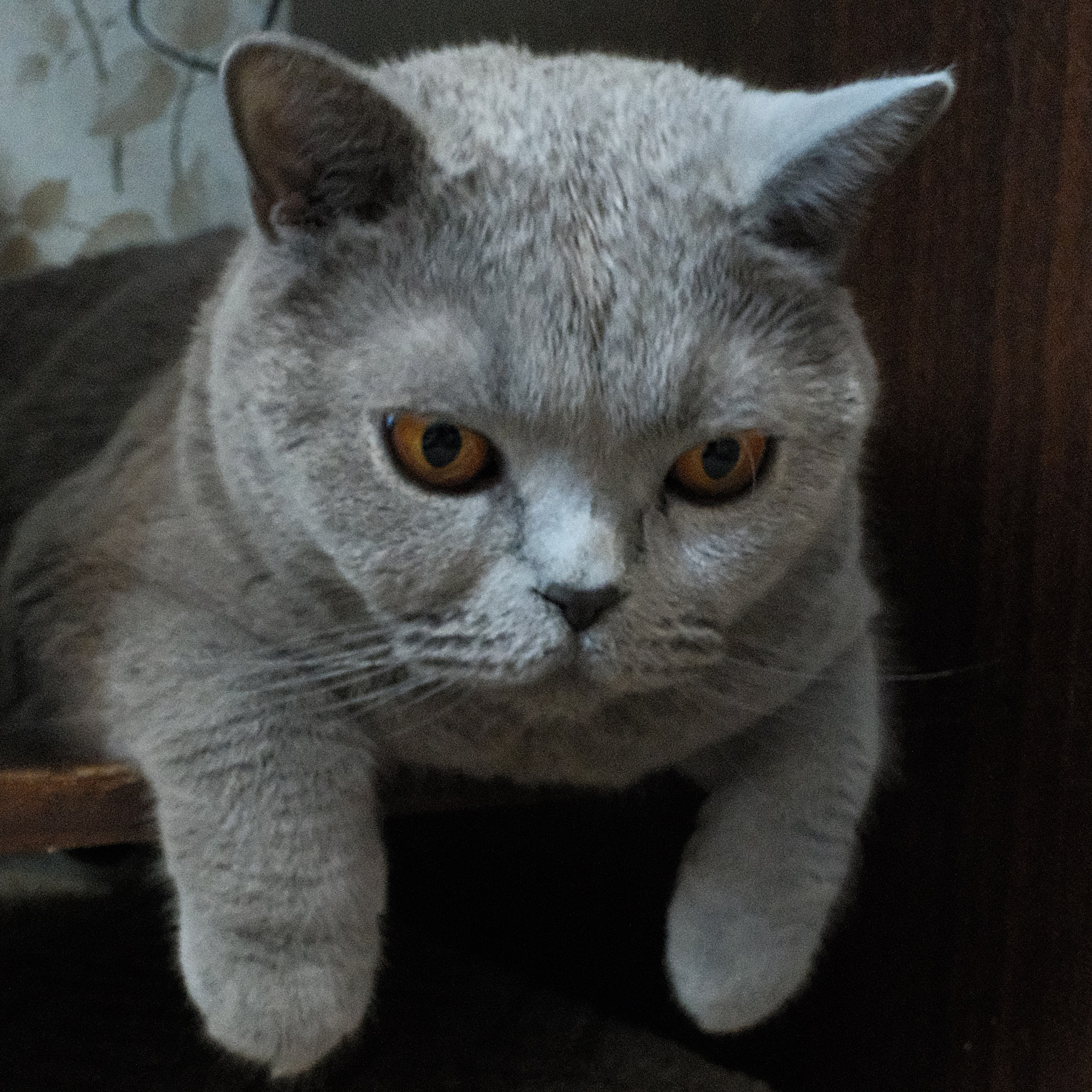 Улица, люди, жизнь…