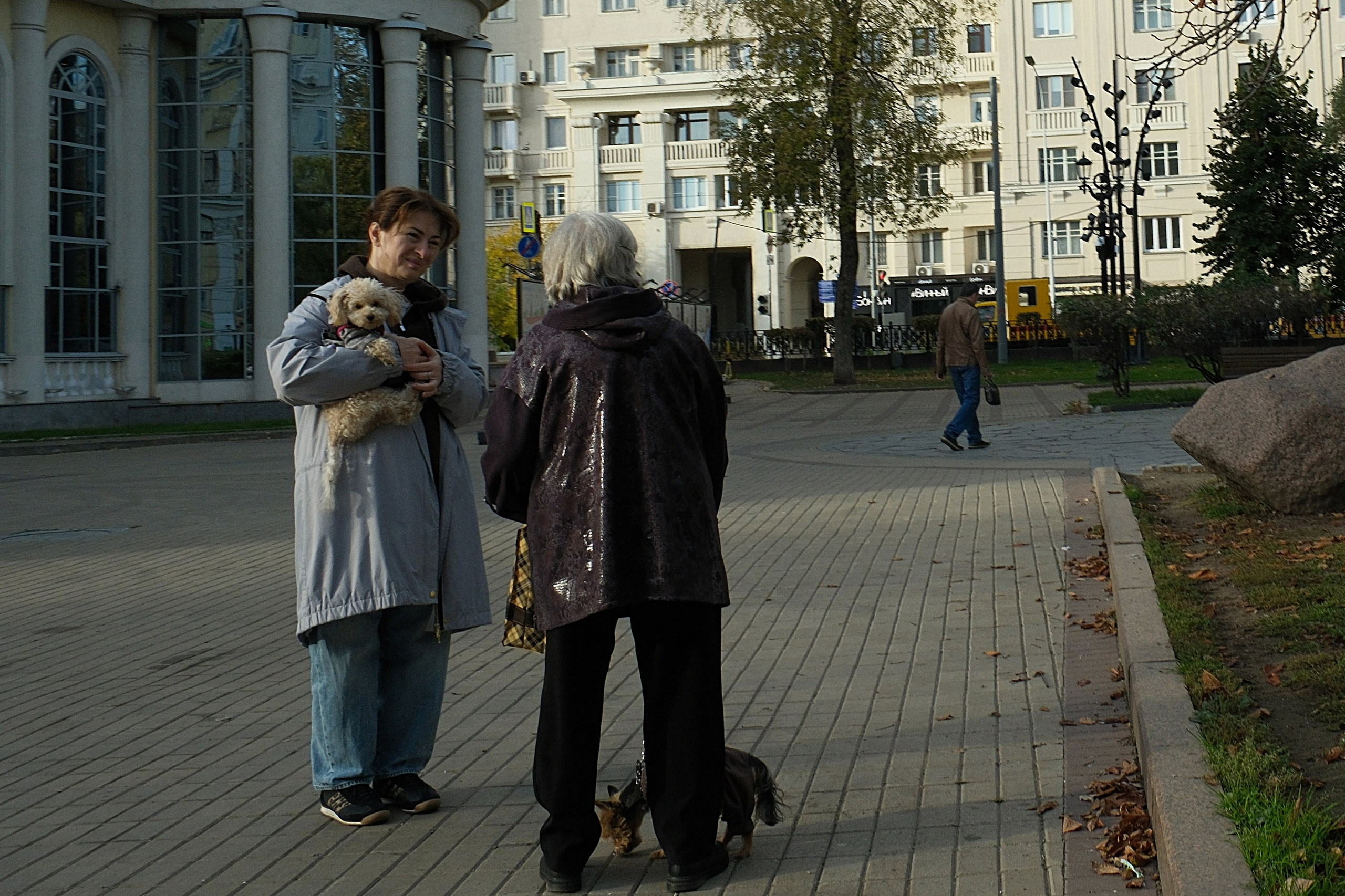 Улица, люди, жизнь…