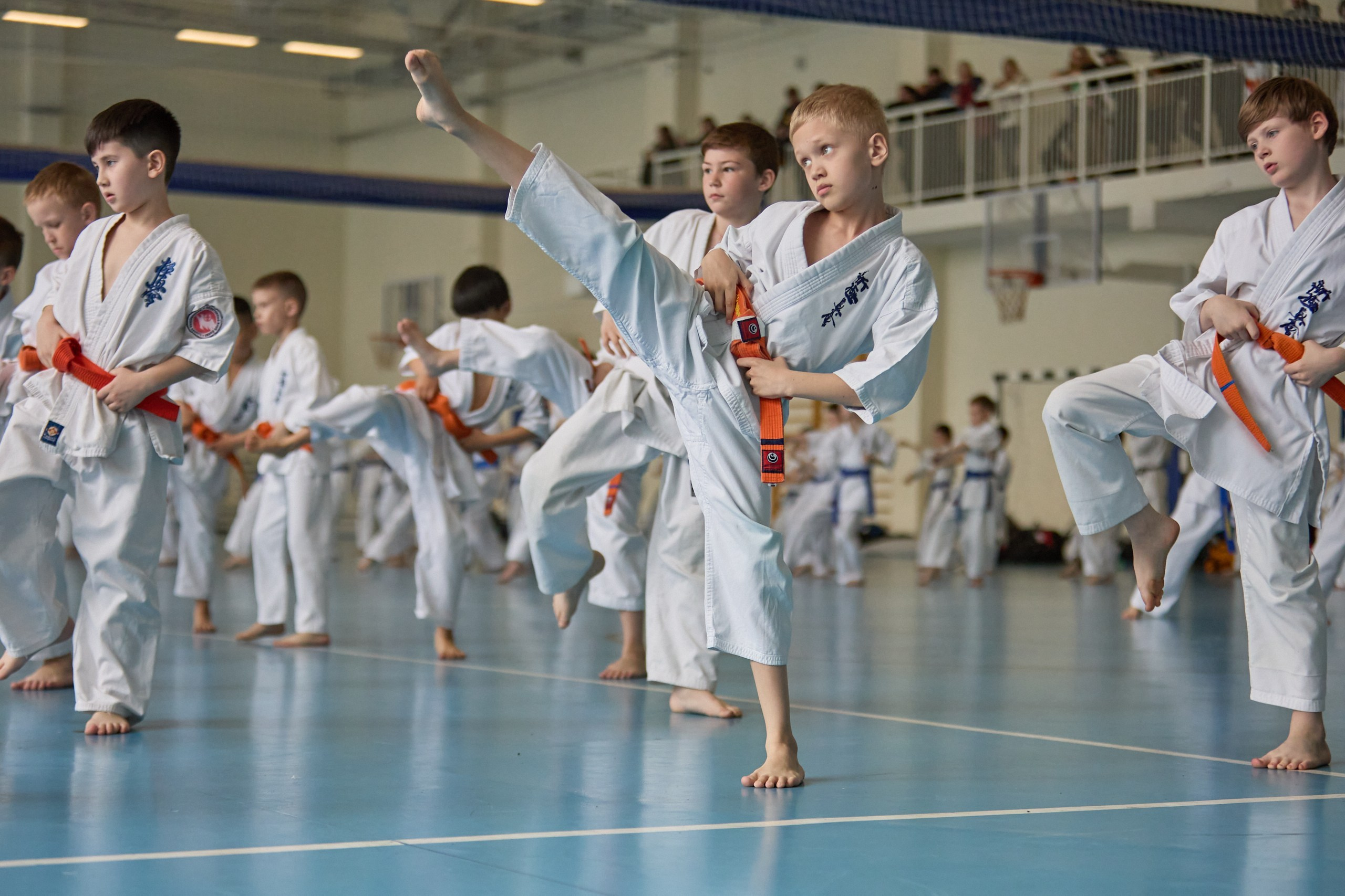 КАРАТЕ. Фото. Спортивный фотограф, трансляция, звук и свет в Новосибирске