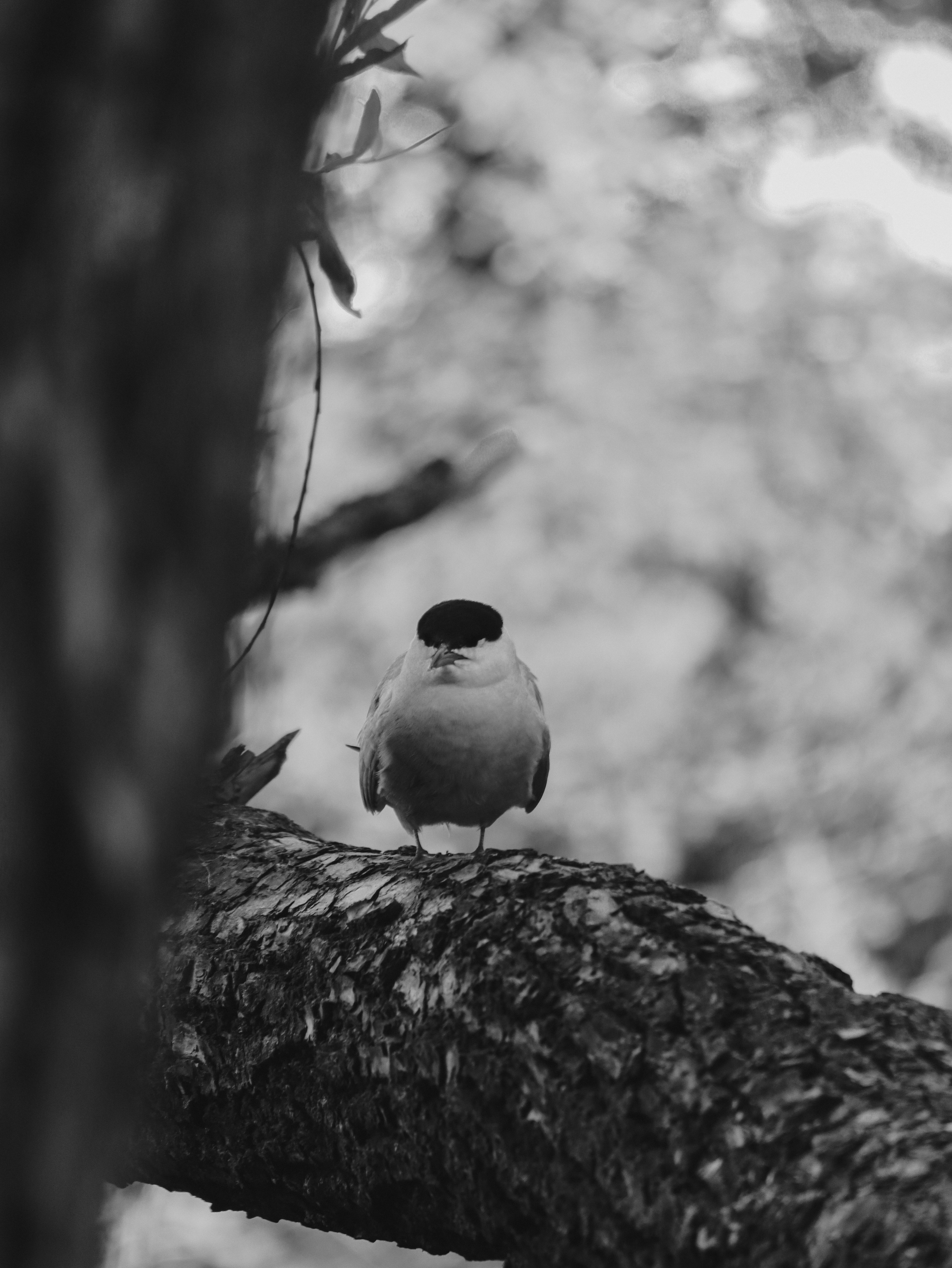 КИНО-ПРОГУЛКА. Кинематографичный фотограф, видеограф Лина Плешакова, Санкт-Петербург