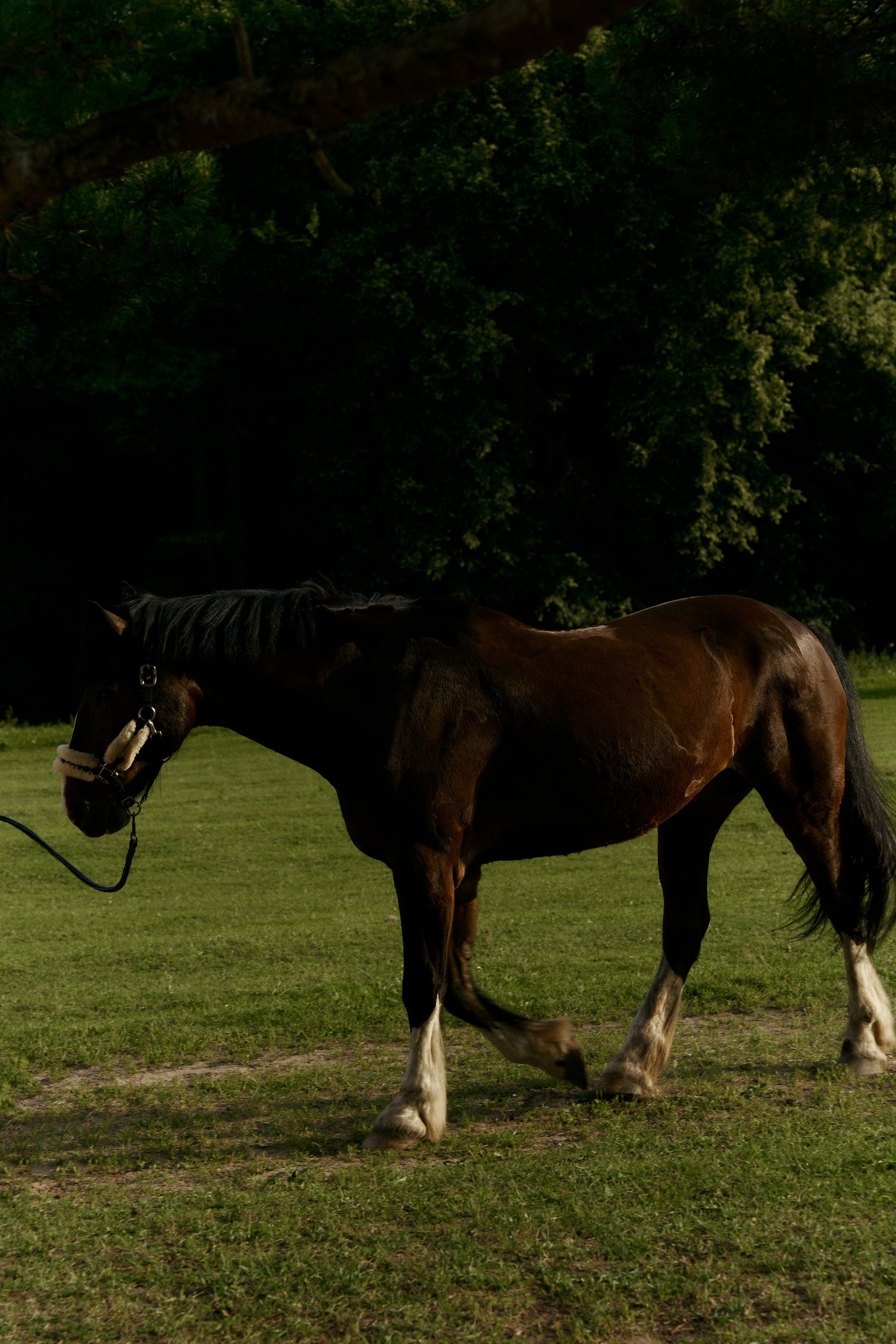 ARTUR & TAISIYA. Свадебный фотограф Жучкова Елизавета в Москве