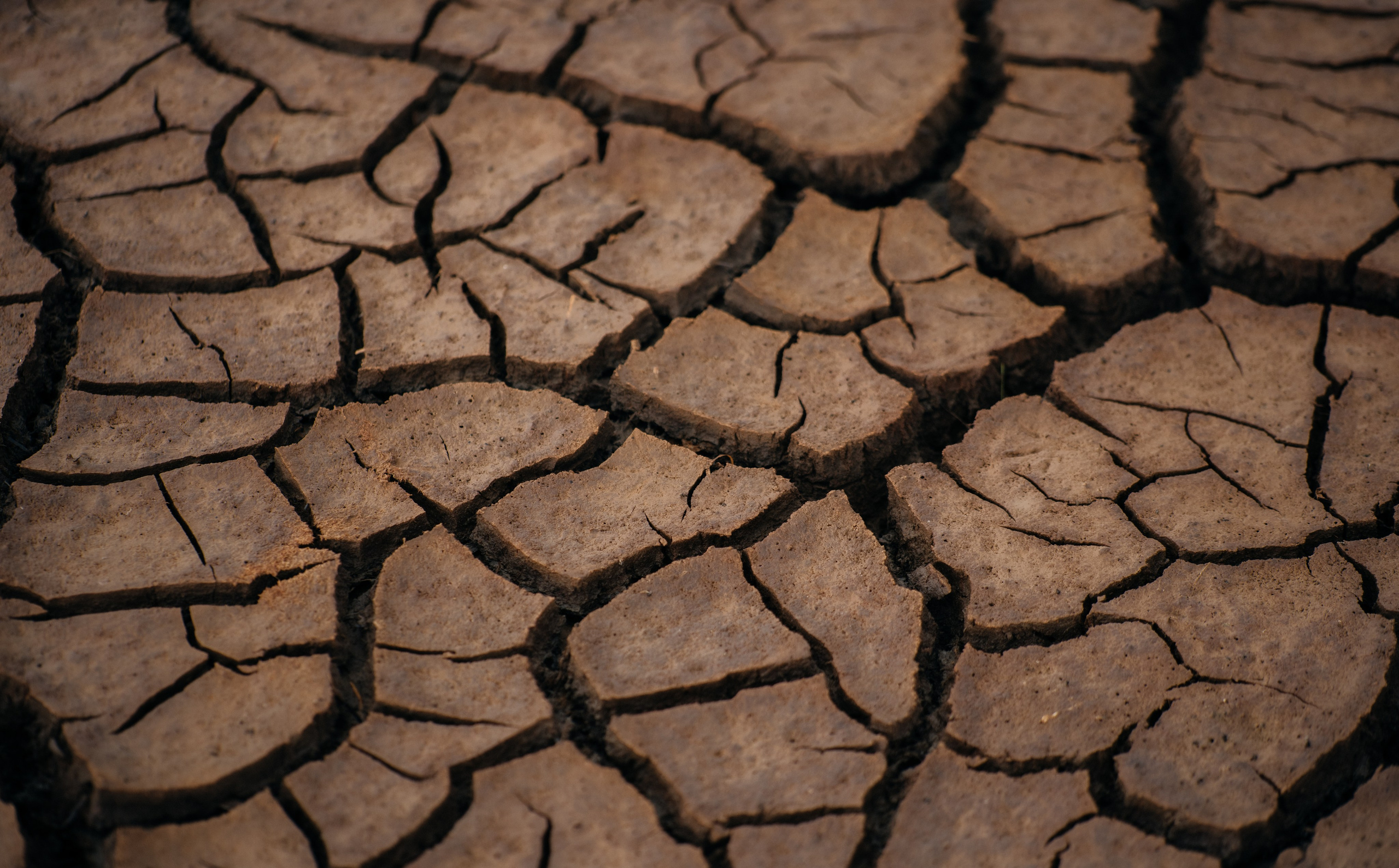 ЭТНОПАРК ГЕОГРАФИКА. Создание контента | Фото | Видеосъемка | Александр Ярков