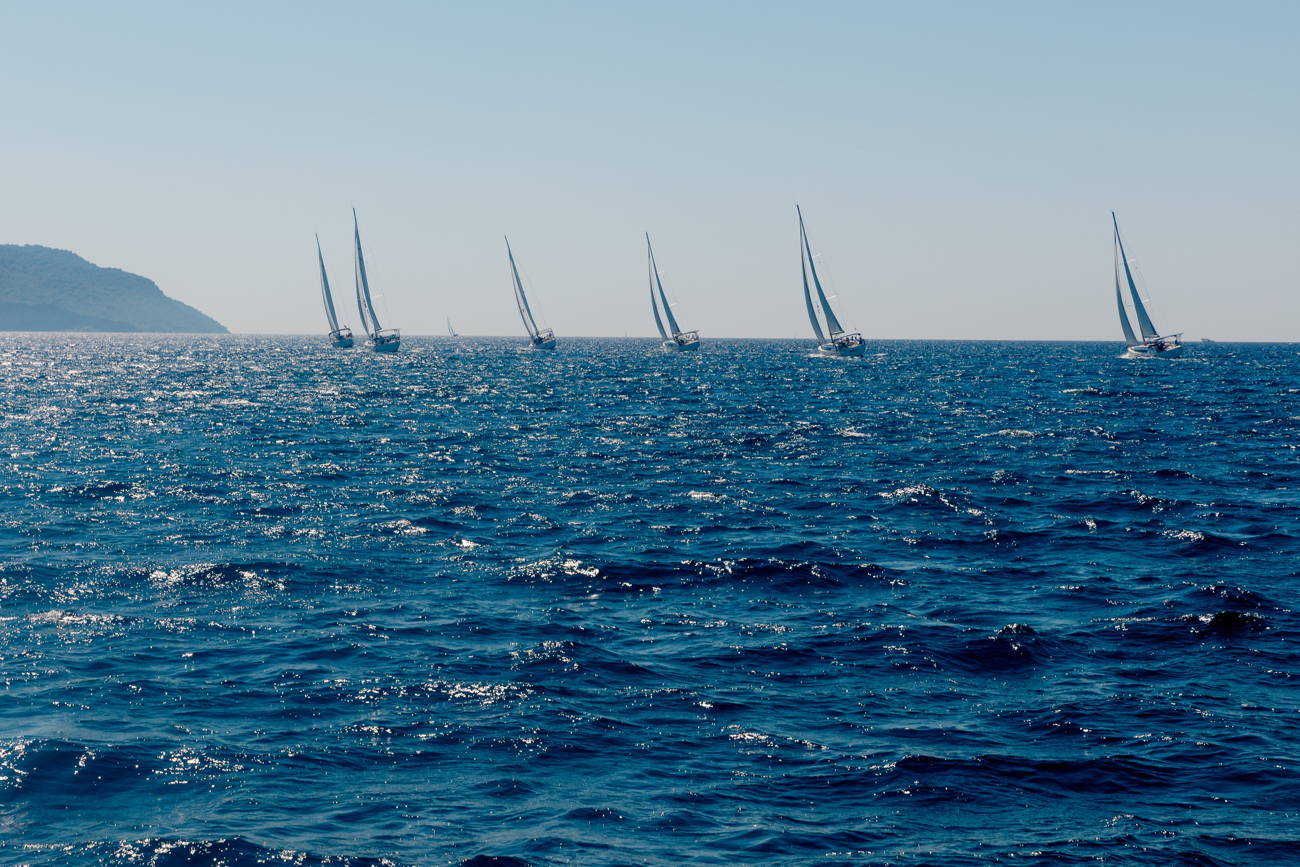 Фармрегата. Свадебный фотограф Москва Анна Шилова