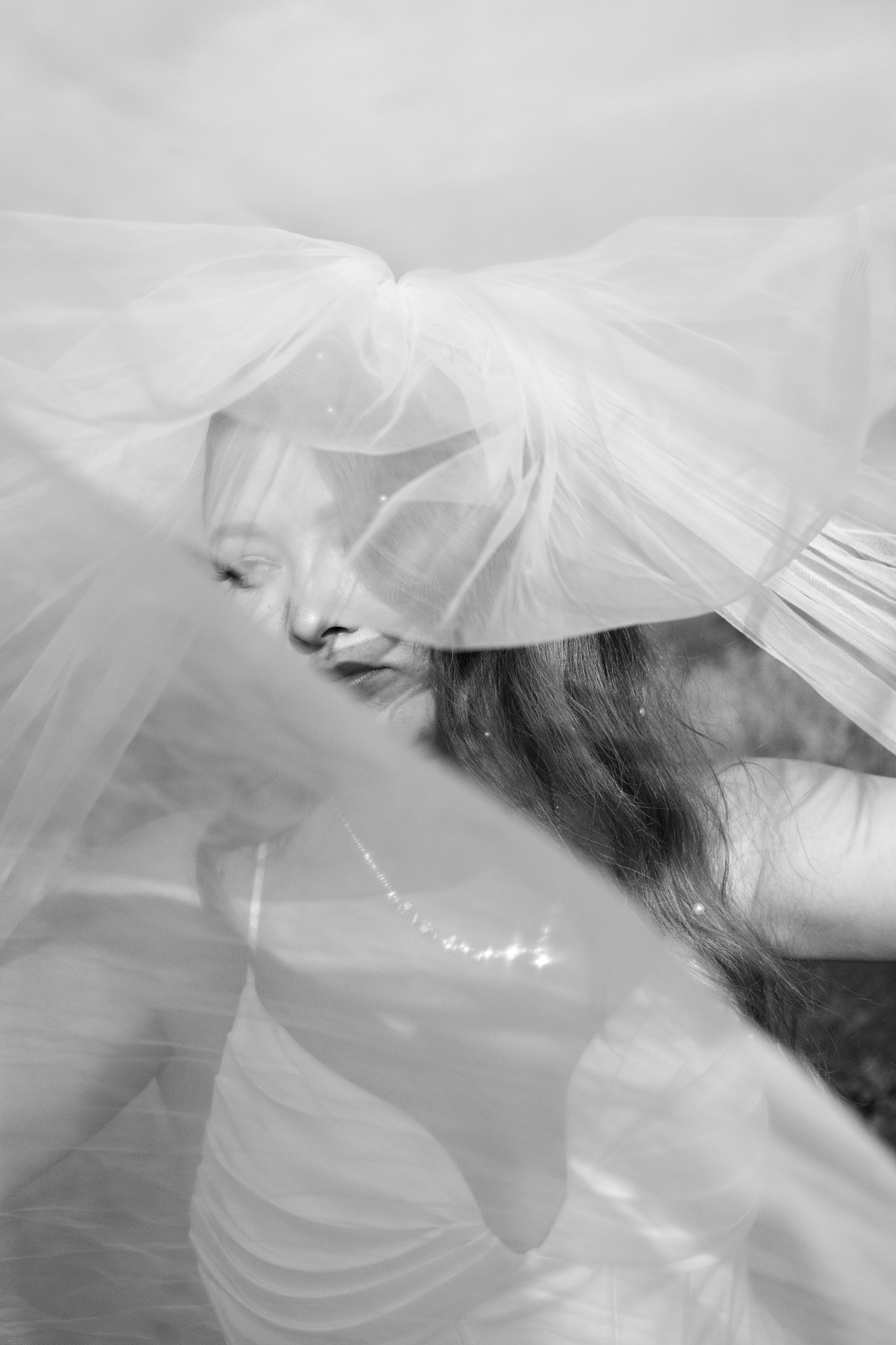 Альбина и Илья Wedding. Фотограф Новошахтинск|Ростов, Дарья Секрий