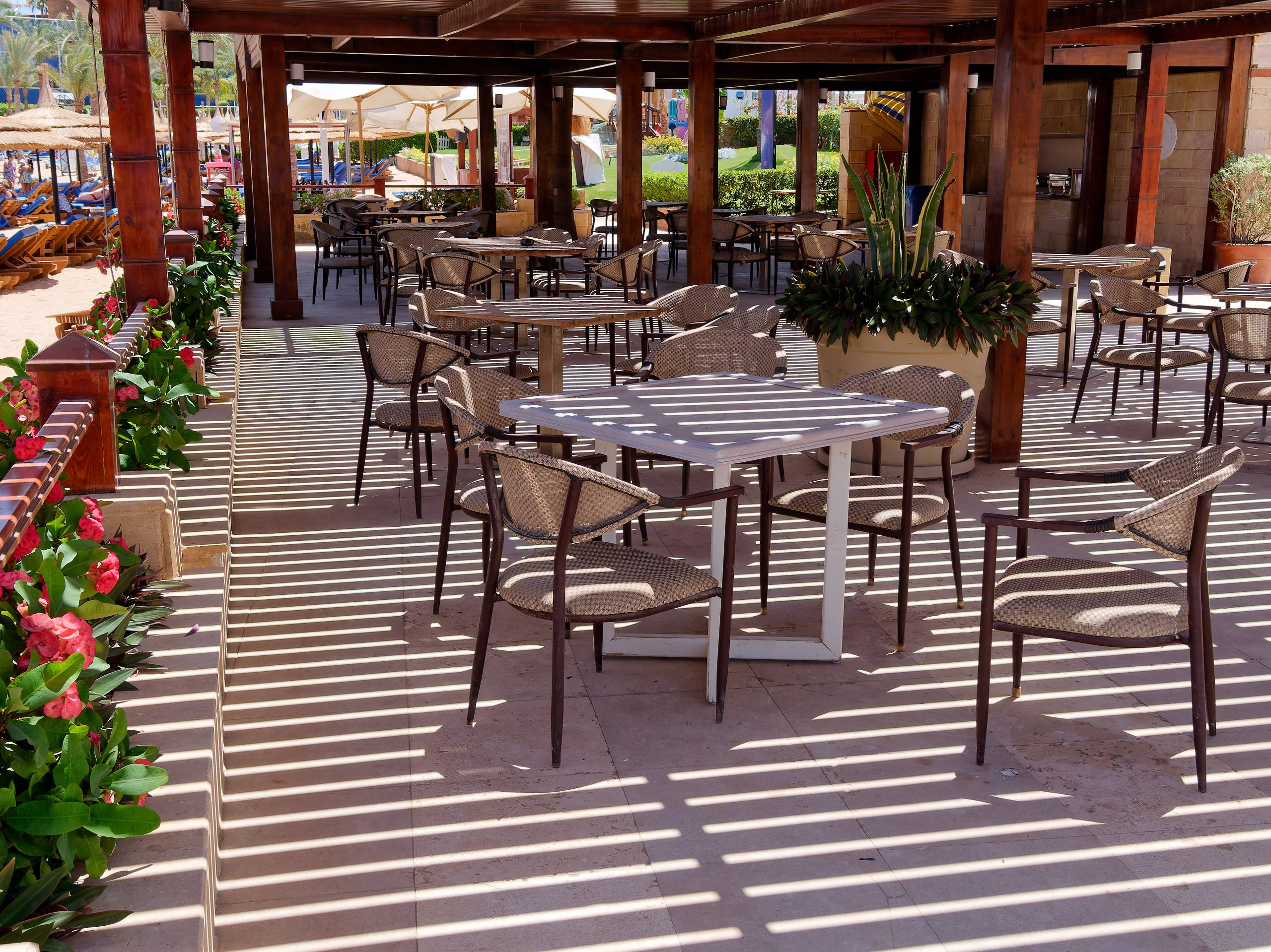 Шарм-эль-Шейх 2022 (1). Избранные фотографии