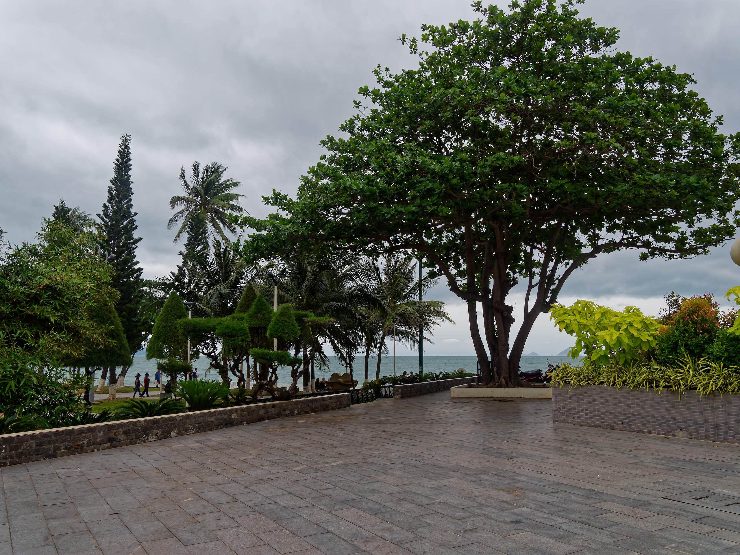 Нячанг 2025 (5). Избранные фотографии