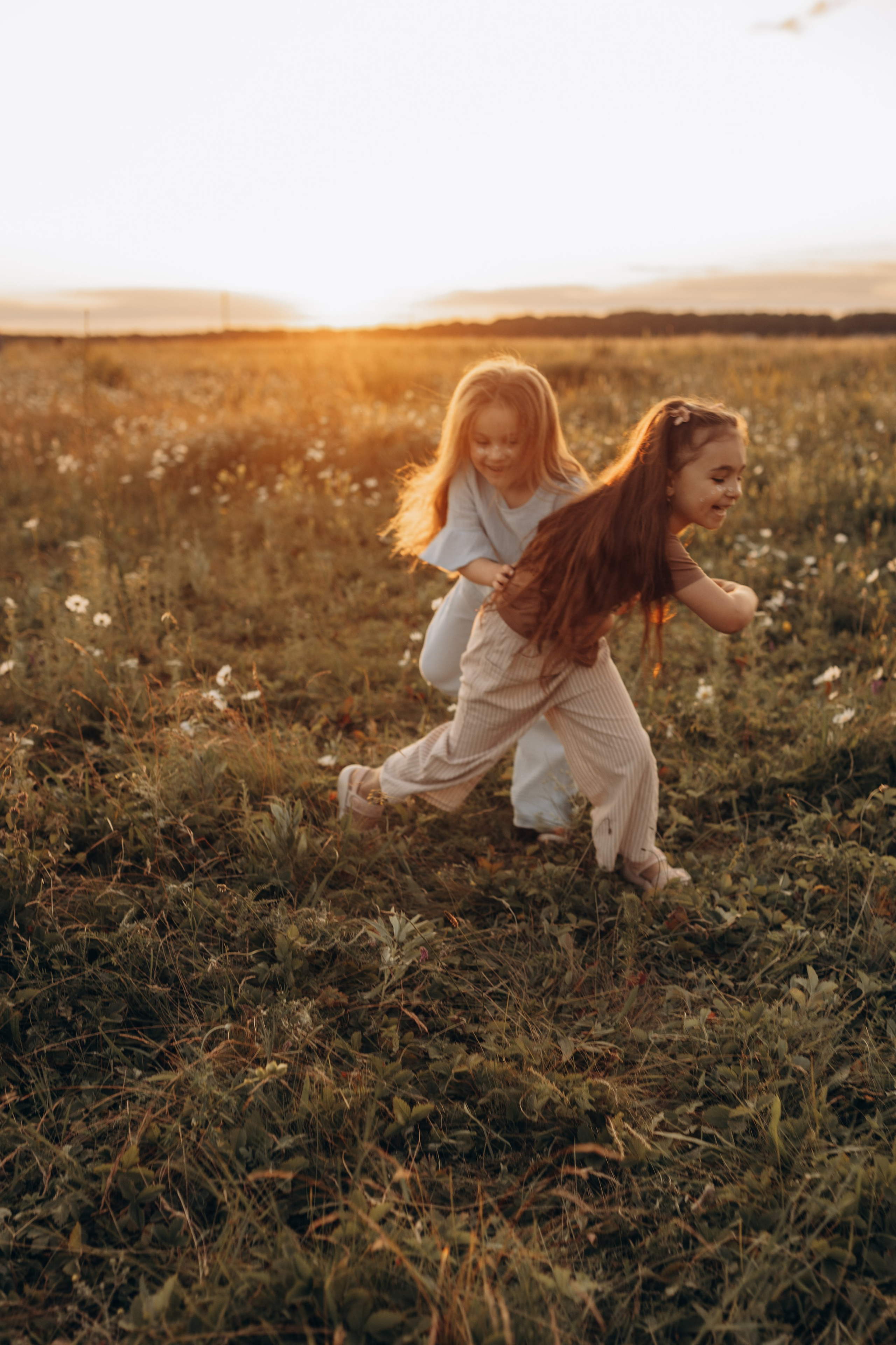 Закат на ромашковом поле. Фотограф в Ставрополе Svetlana Matveeva