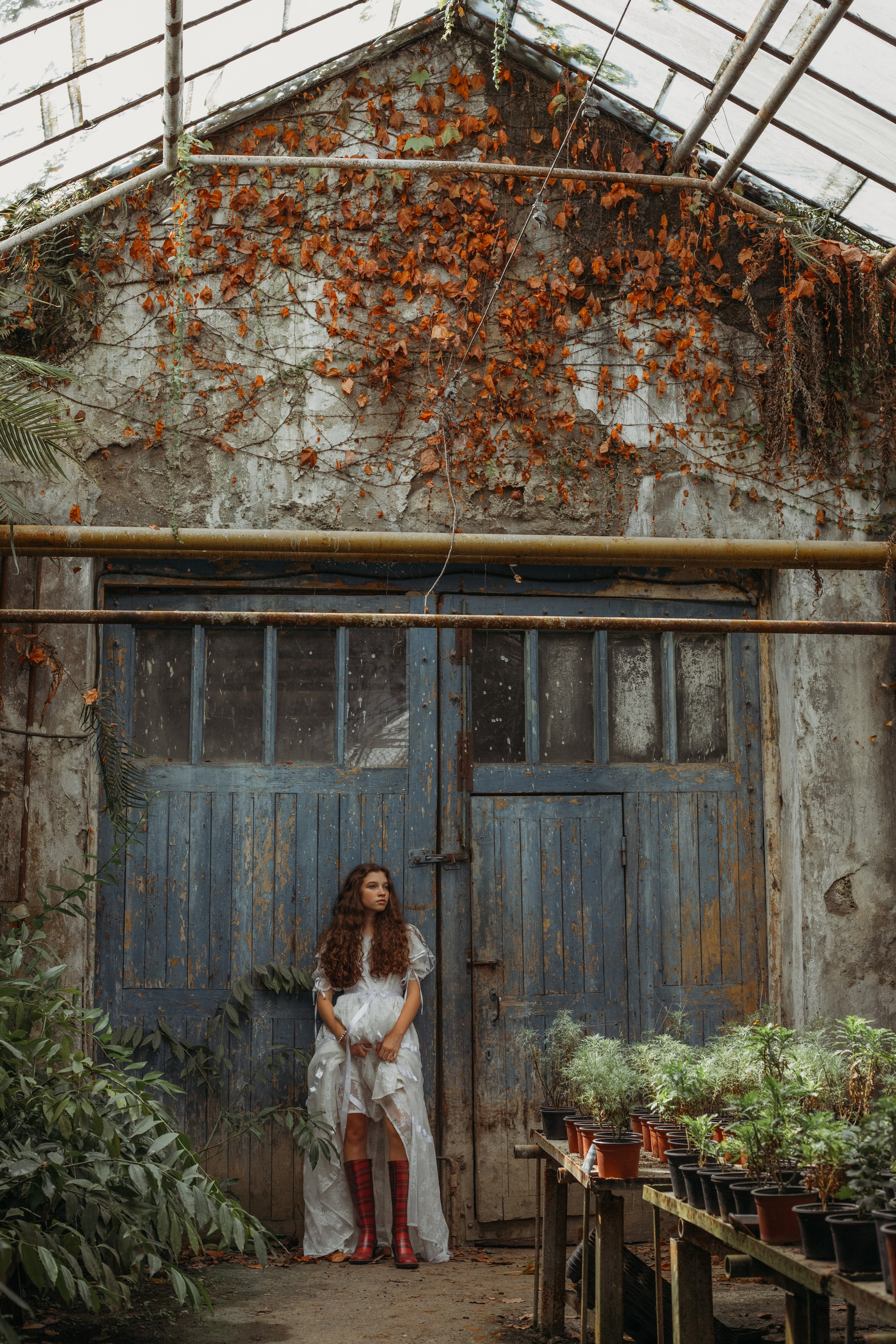 Оранжерея. Репортажный фотограф в Сочи Екатерина Вежливцева