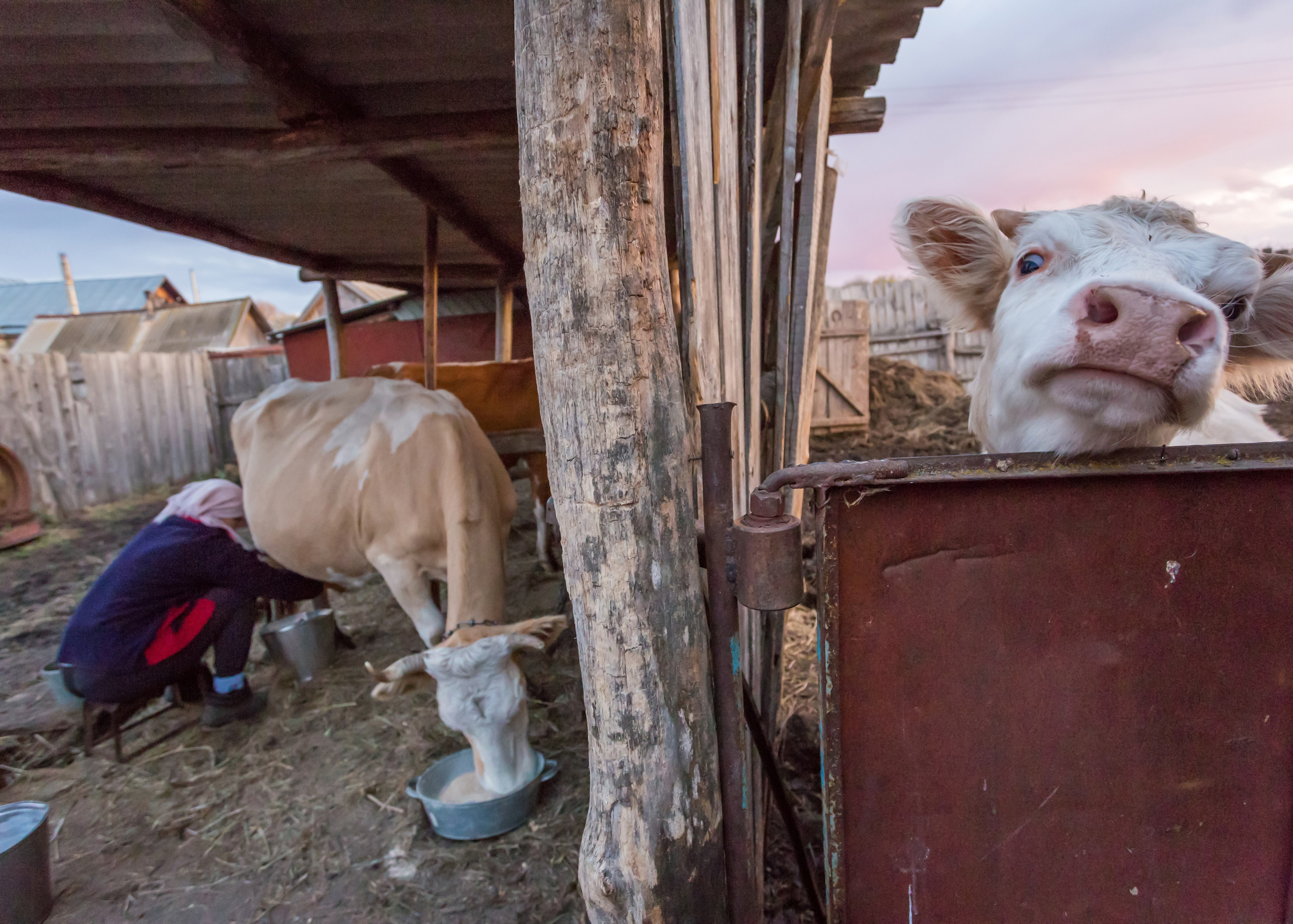 ХВАЛЫНСК: ГОРОД НА ДНЕ МОРЯ. Контакты