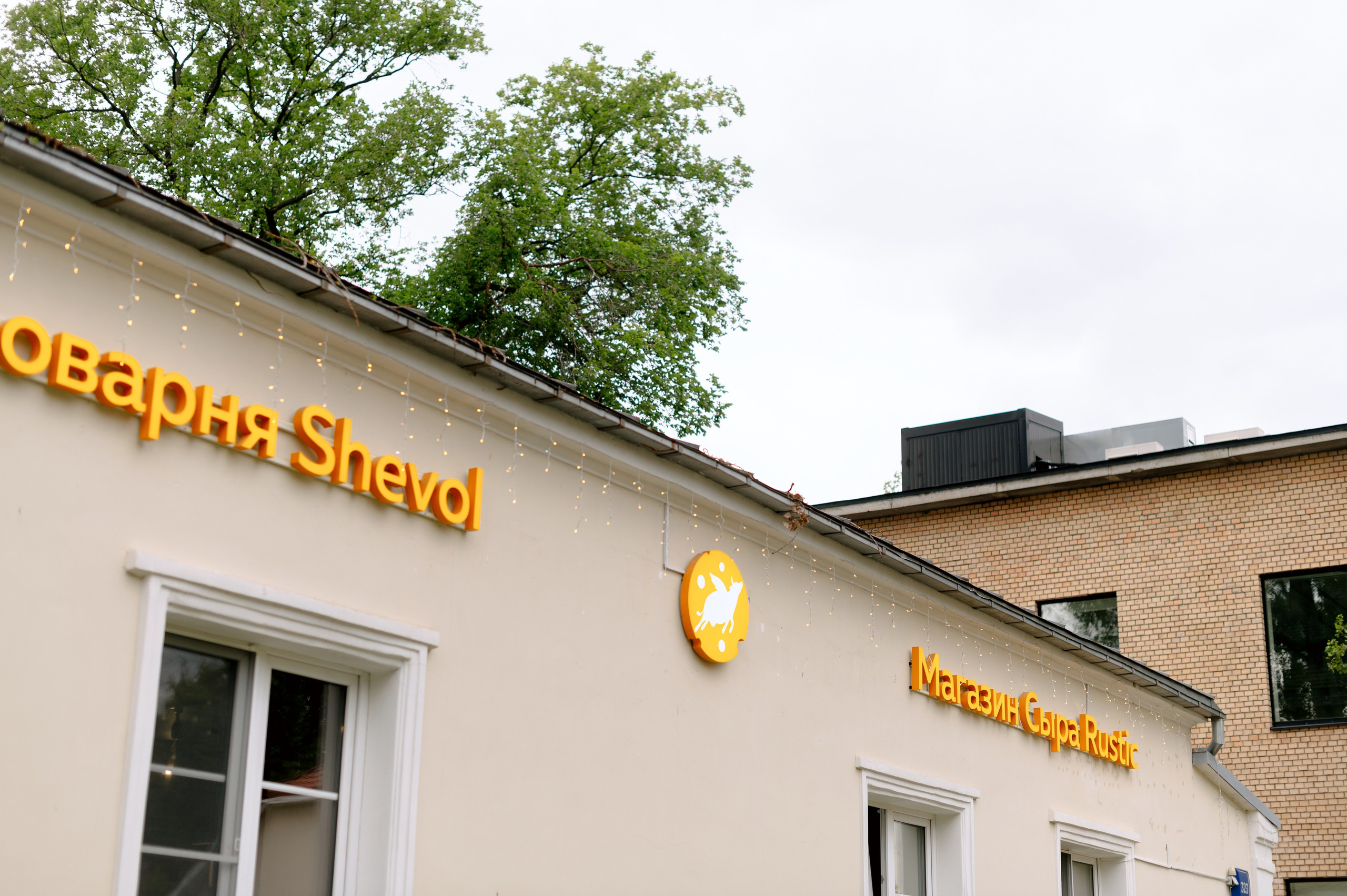 ТИНА и МИША. Шашкова Вероника / Свадебный и семейный фотограф Москва и Ярославль