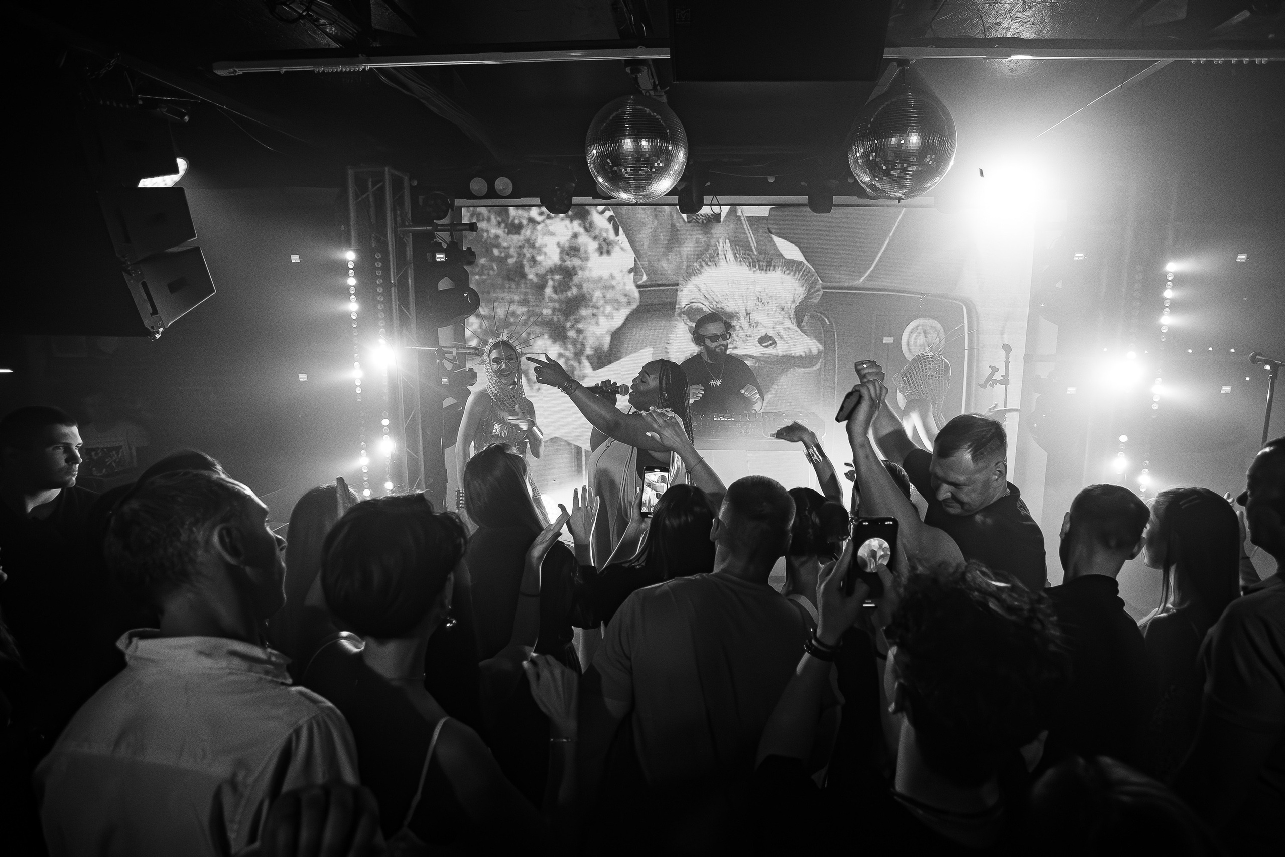 «LIZWI"_Чайка на пляже_Ялта_7.06.2025. Аминов Руслан | Фотограф