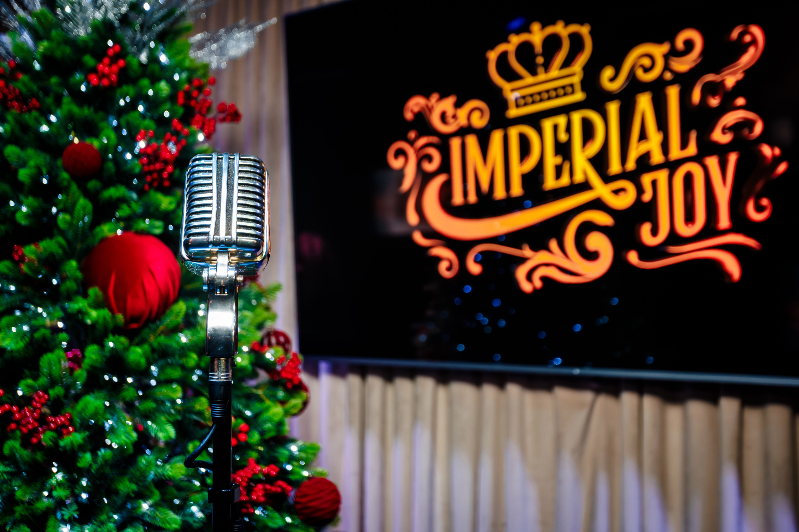 Вечеринка в караоке клубе «IMPERIAL JOY"_Ялта_27.12.2025