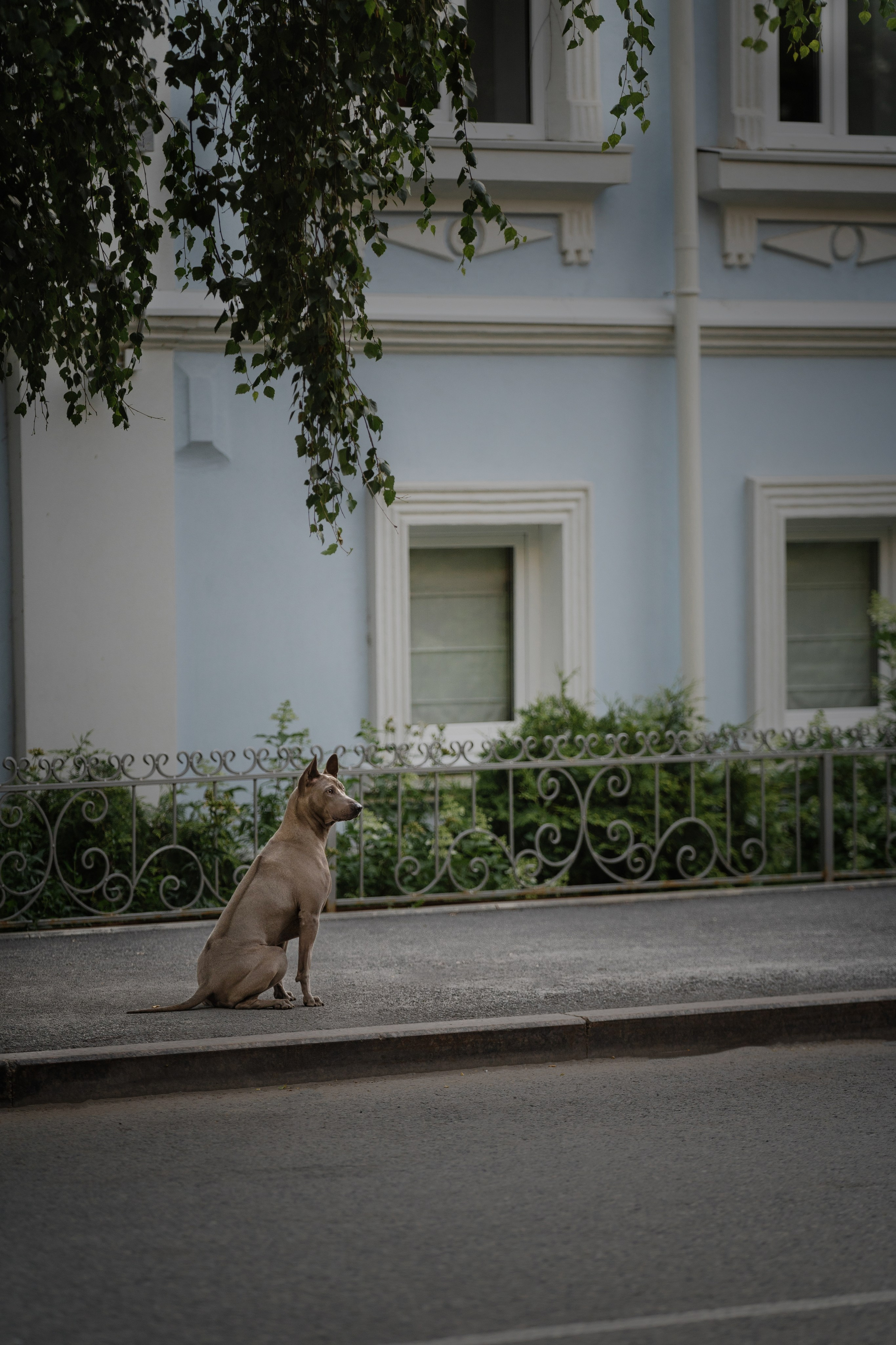 Лин + Вегас. Kameramotor74