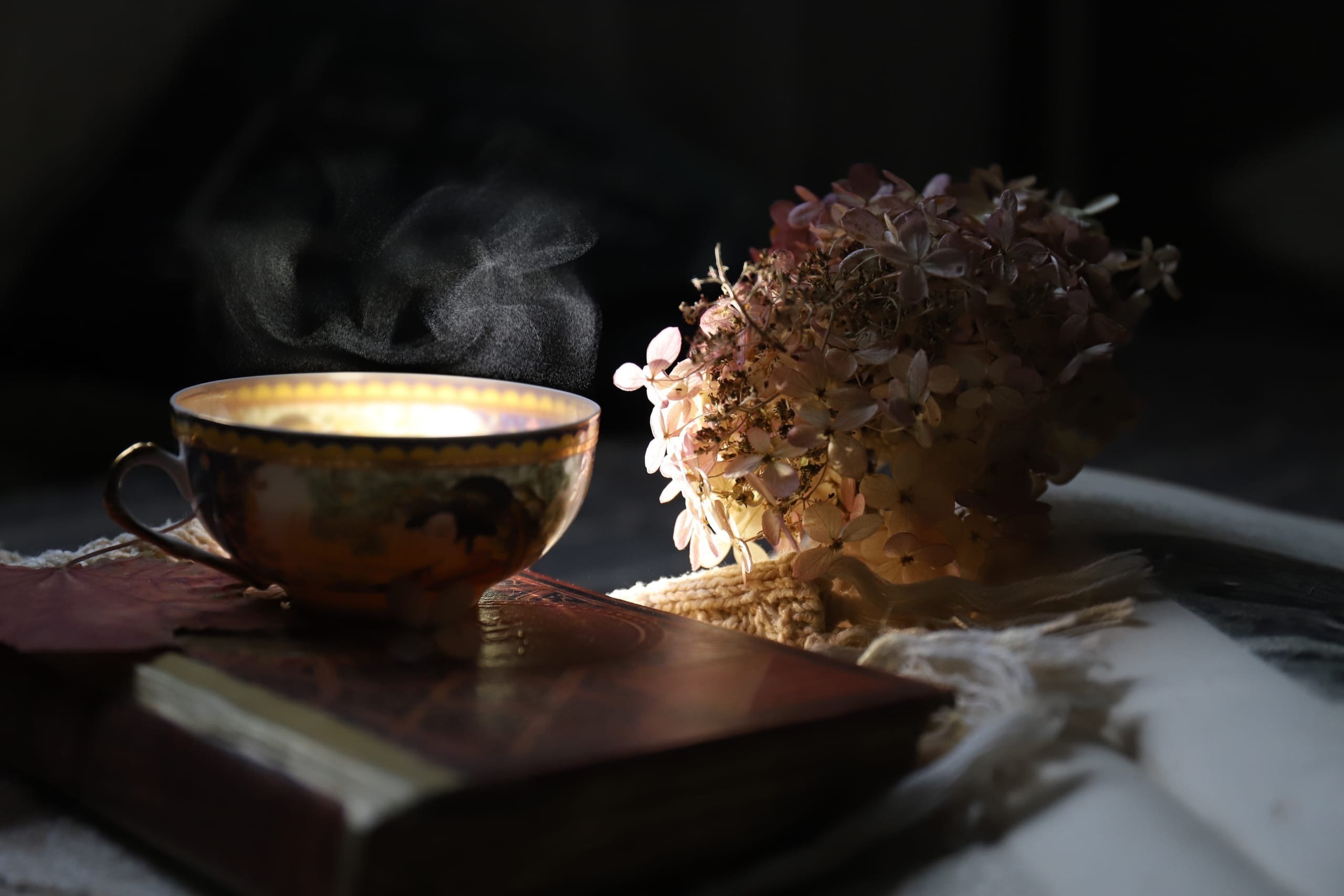 Обучение. Фотограф Людмила Оюн