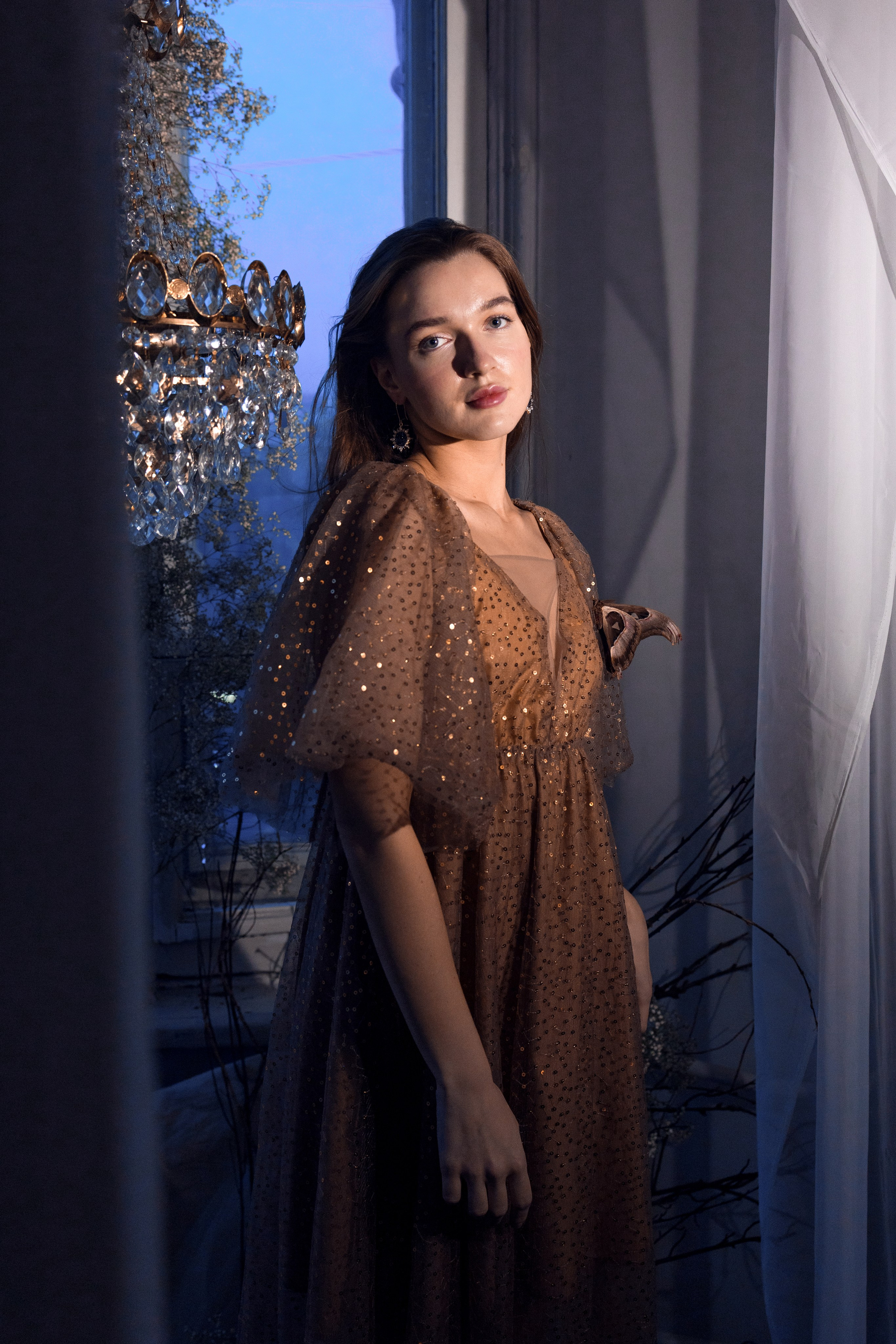 Фейский Альбом