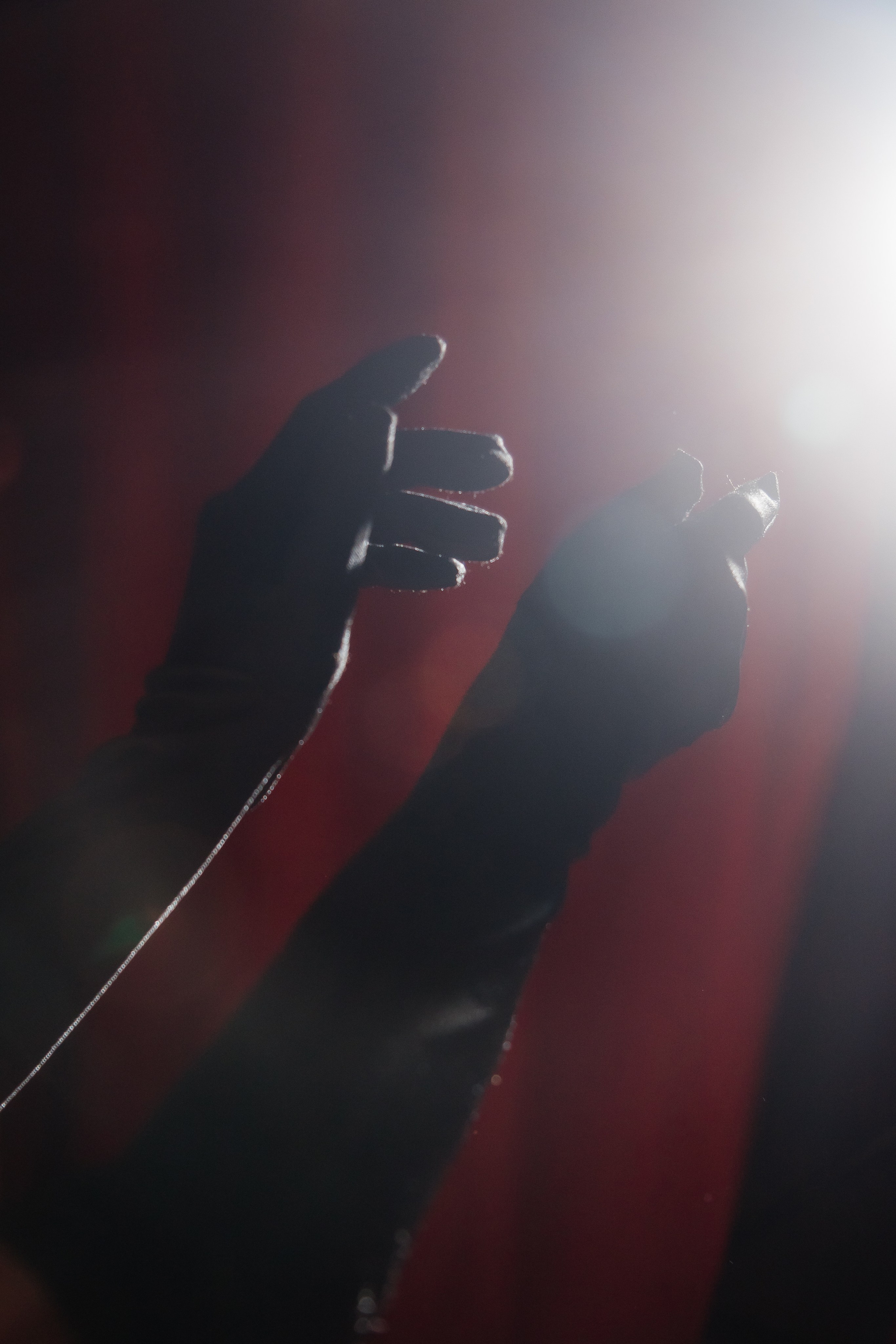 RED CARPET. Фотограф Александр Бигари