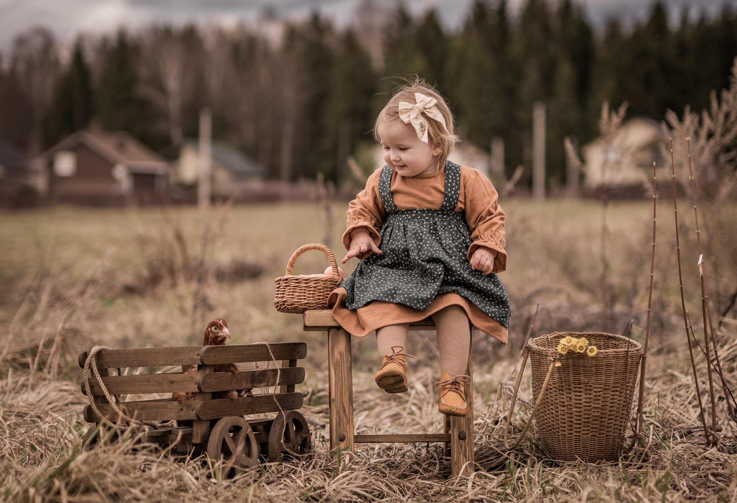 Куриная история. Семейный фотограф Ефремова Виктория