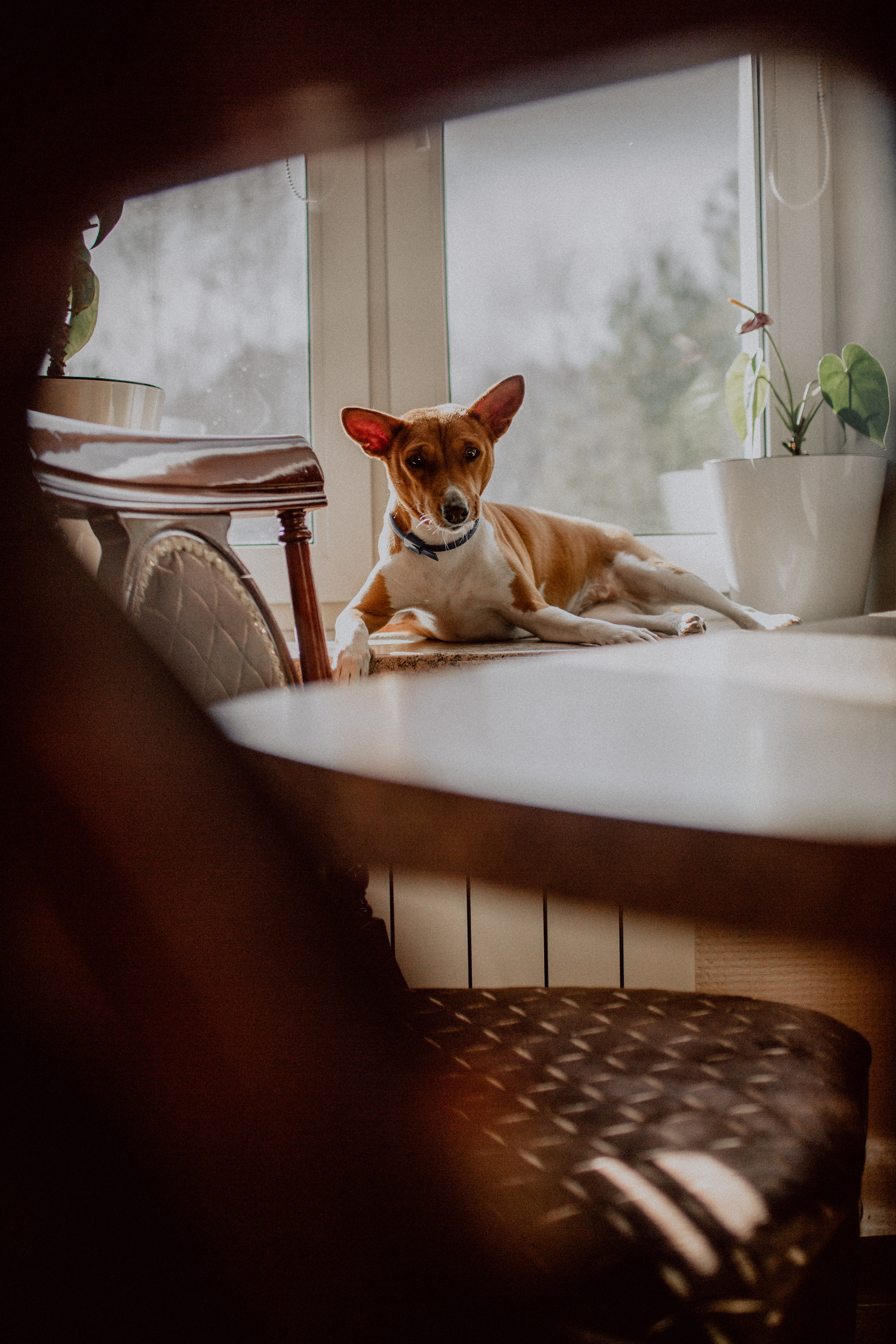 Алена и девочки. Семейный, детский фотограф, видеограф. Город Владивосток Рубцова Юлия