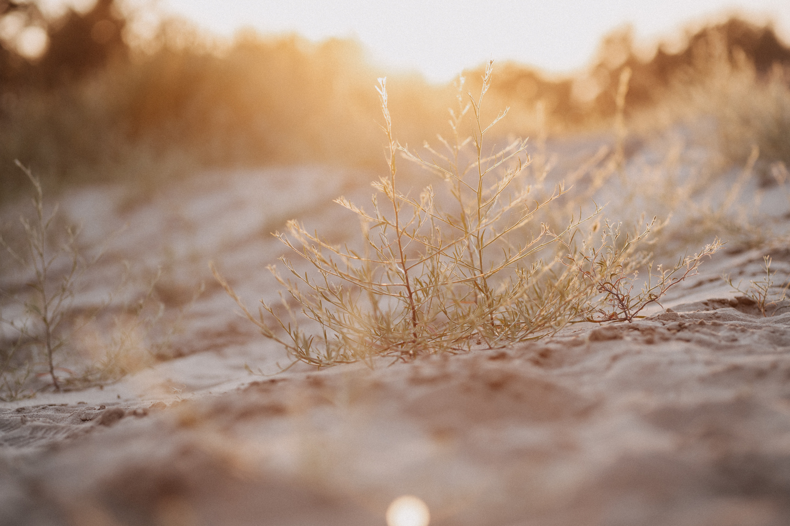 Олеся и Ева. Семейный фотограф в Самаре Елена Ефимова