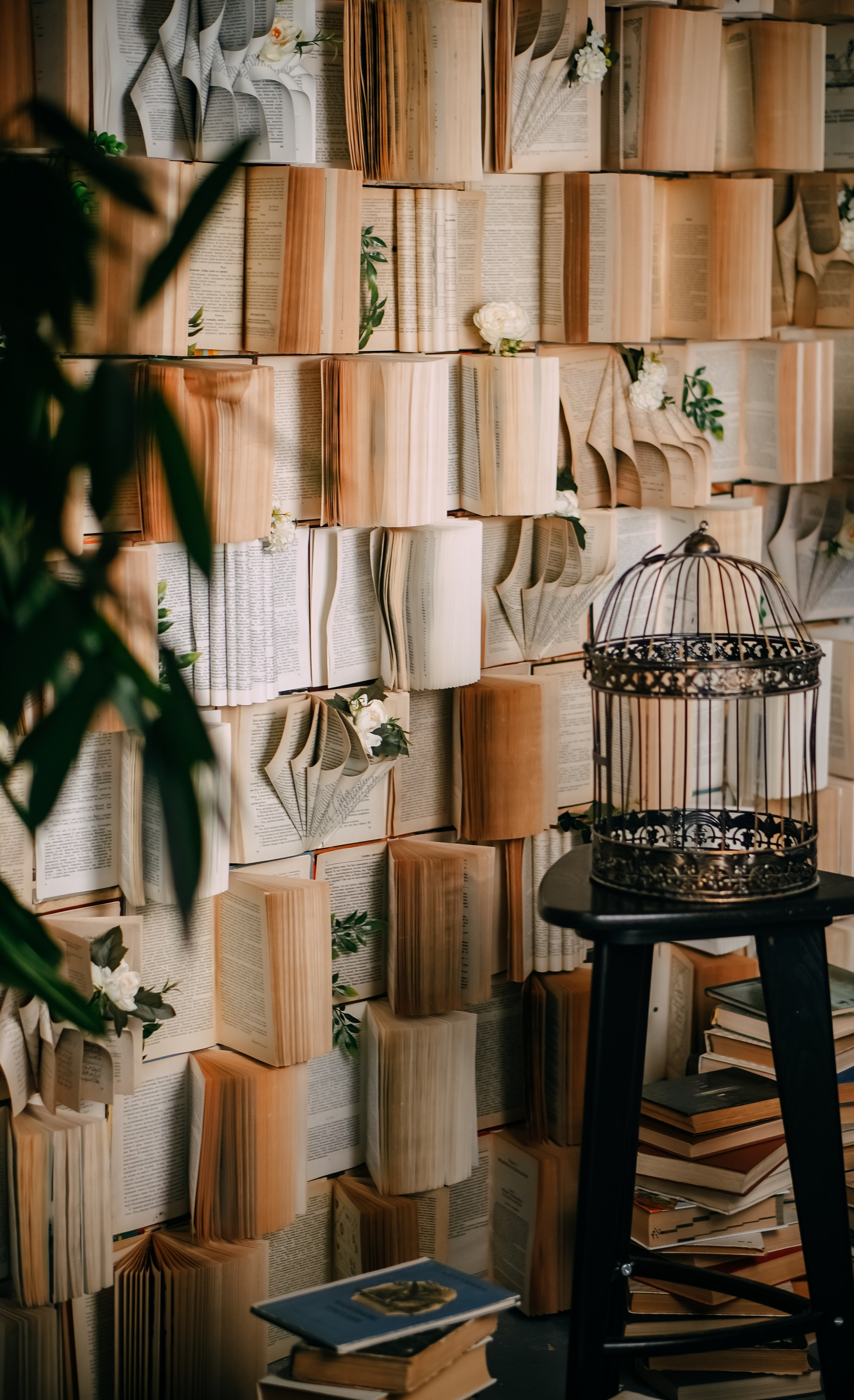 Зал DZEN фотостудия Побелка. Фотостудия в Саратове. Фотограф в Саратове