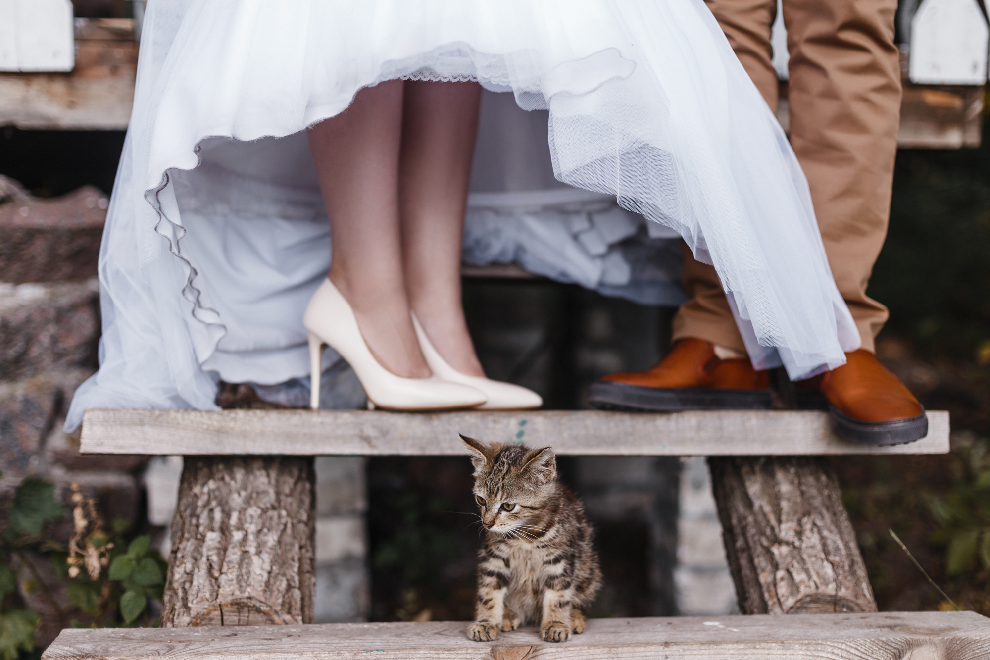 Дмитрий и Валерия. Свадебный фотограф Ольга Гуркина