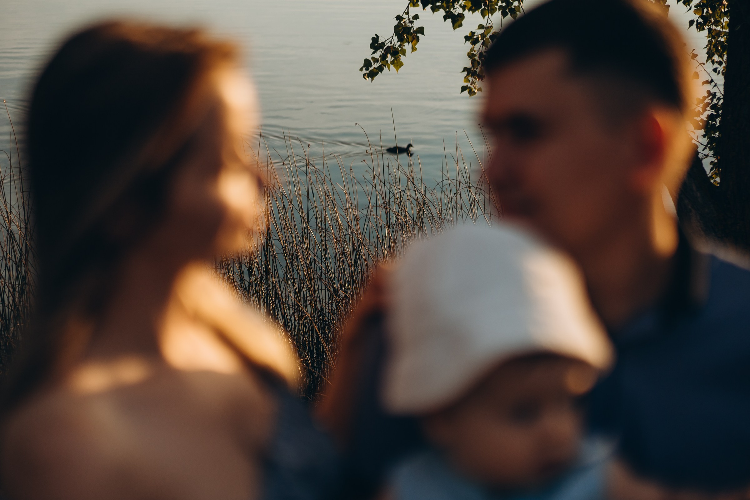 Семейная история. Семейный фотограф в Волгодонске Краченцева Анна