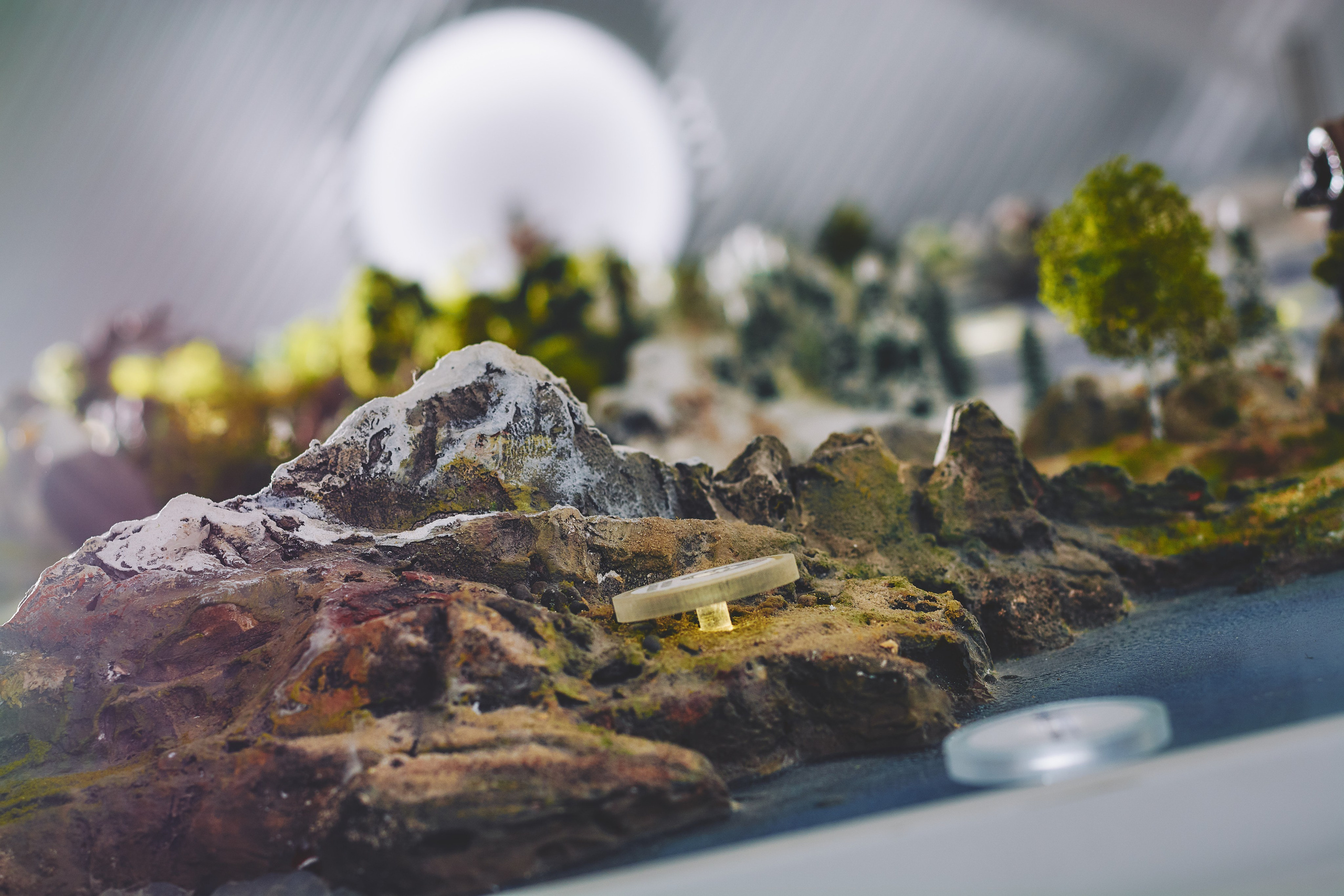 Интерьерная съемка Визит-центр Национальный парк «Кисловодский». Константин Кордонский | Интерьерный и food-фотограф в Кисловодске и КМВ