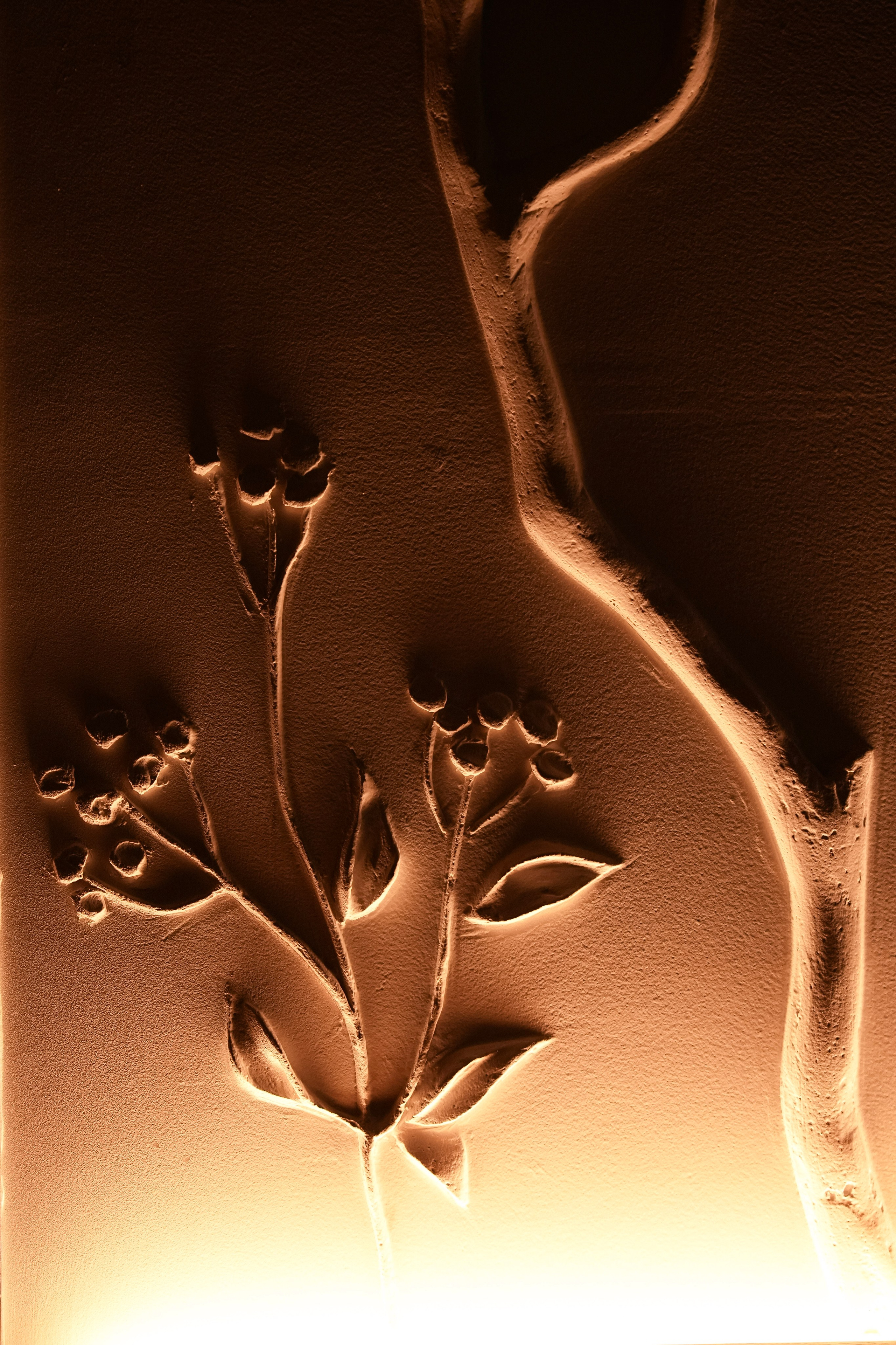 День рождения Анастасии в Dom de Marque. Фотограф с психологическим образованием