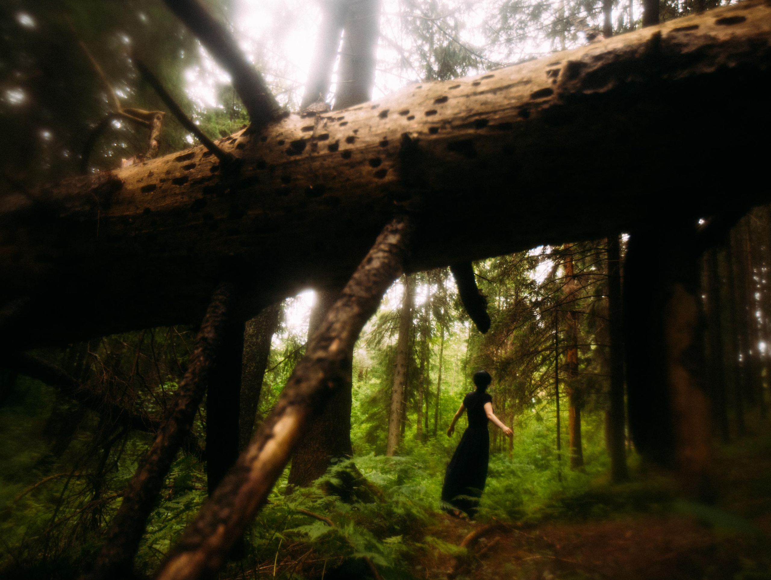 ПОРТРЕТ. Фотограф Мария Немм