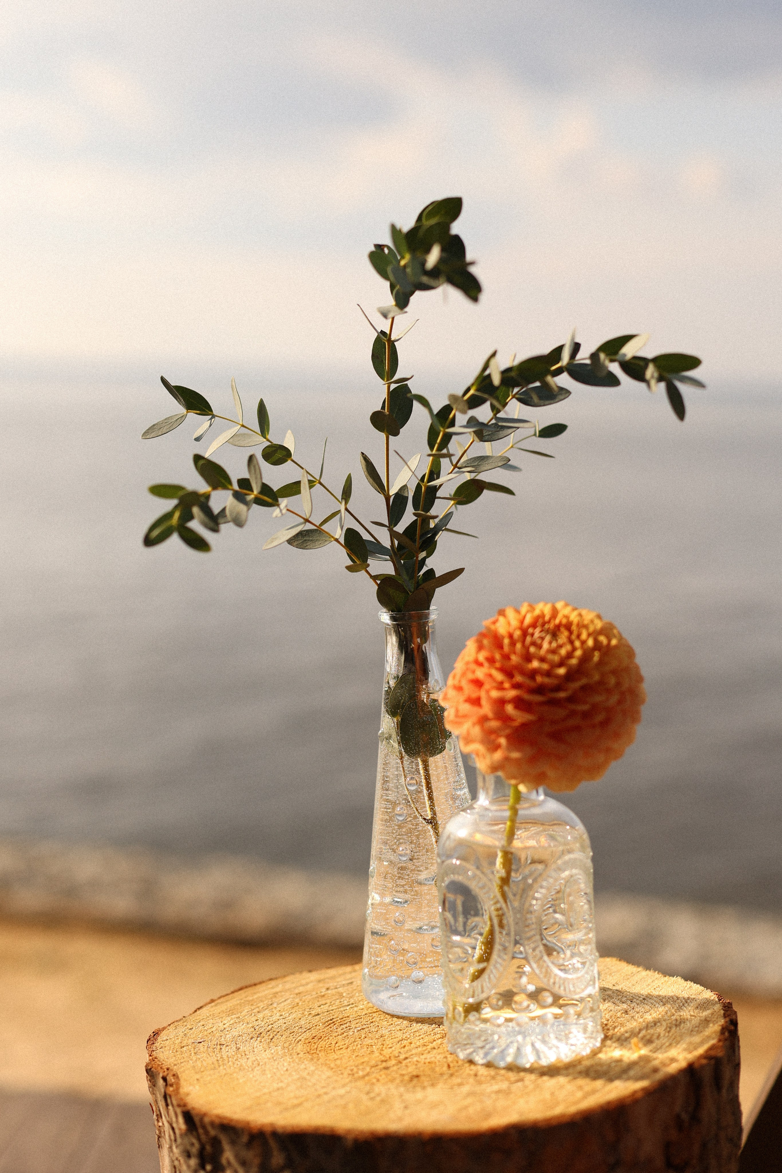 Олеся и Саша. Фотограф — Ольга Косолюкина