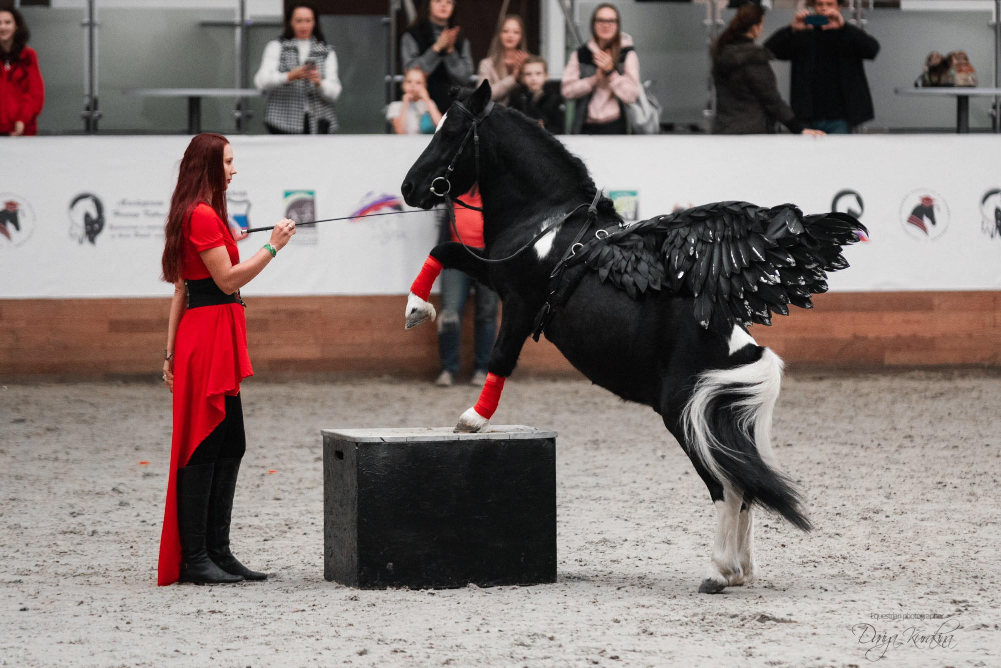 8-я международная выставка Конная Россия. Конный фотограф Куракина Дарья • Фотосессии с лошадьми
