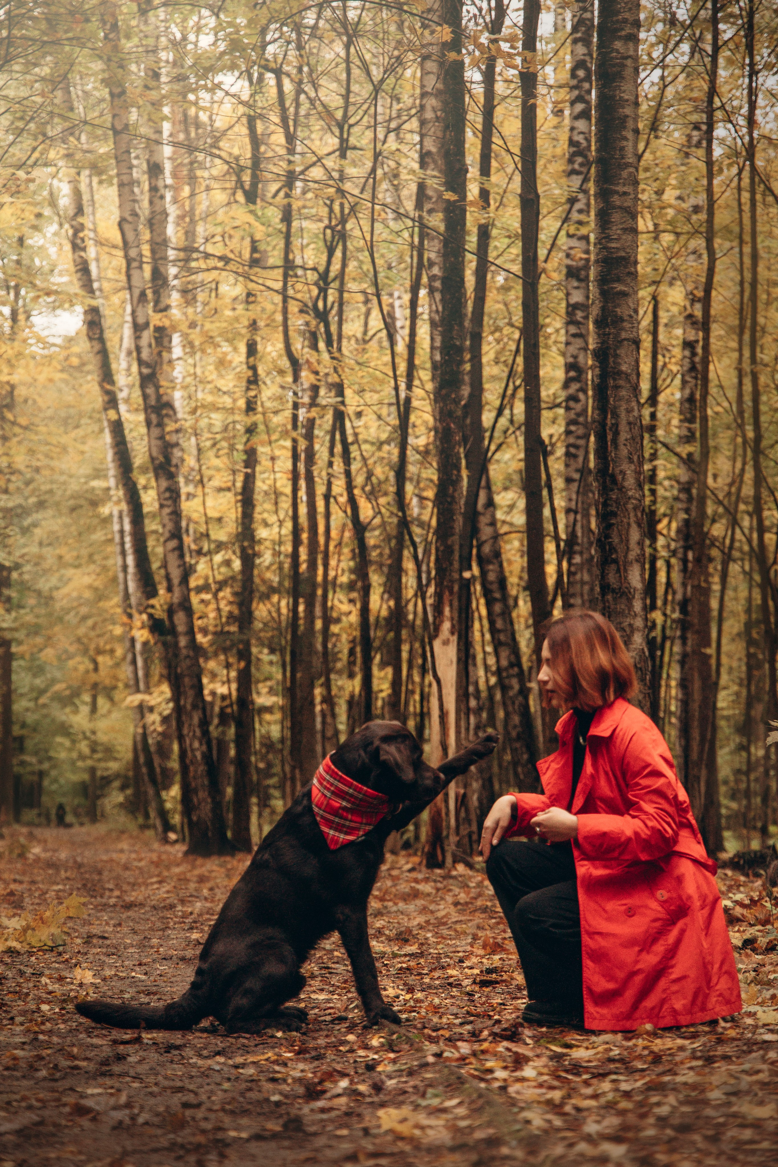 Арина и Сэмми. Фотограф — Анималист | Санкт-Петербург