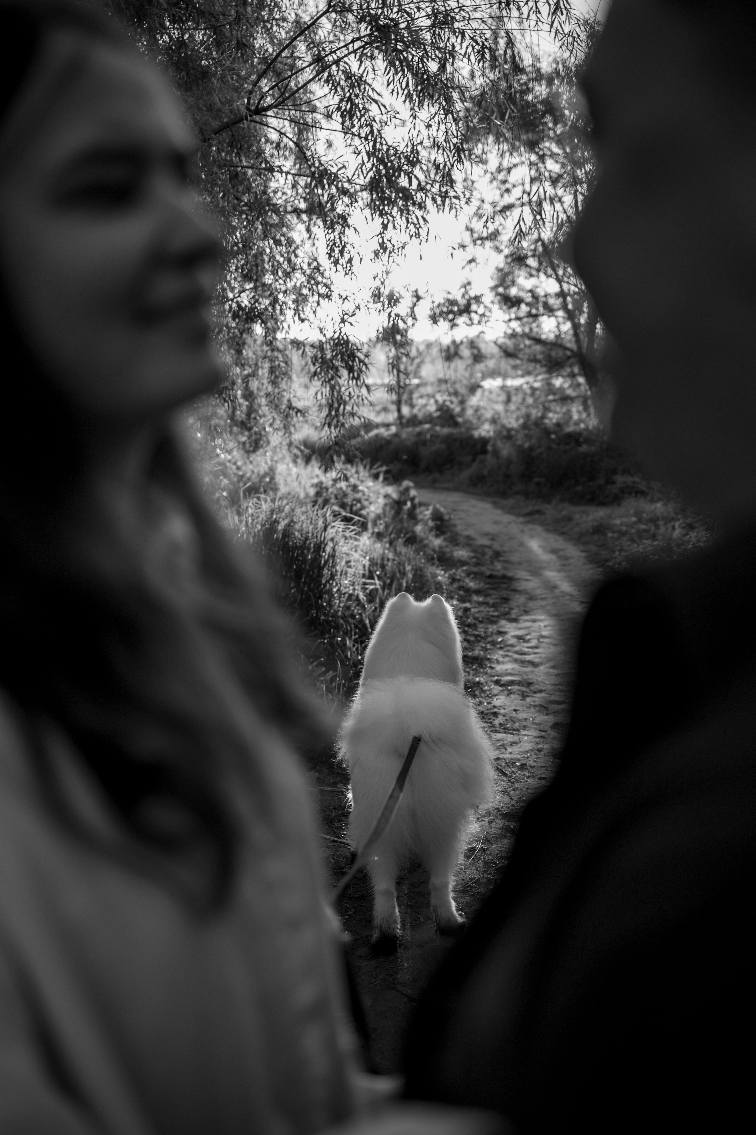 Танго и его семья. Фотограф — Анималист | Санкт-Петербург