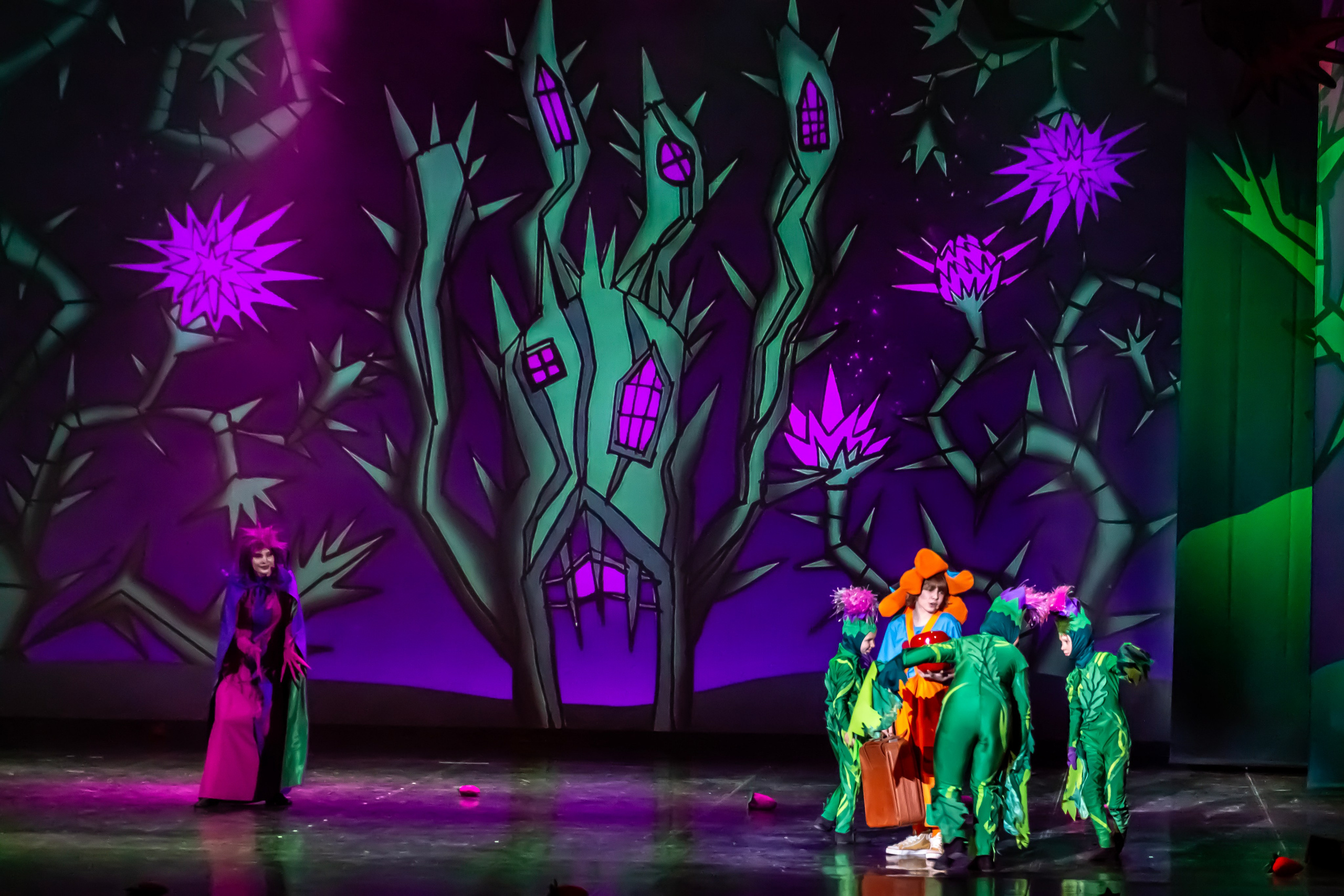 Мюзикл «Незнайка в царстве малюток» премьера Сочи солнышки и Сочи Соло. Фотограф в Сочи Юрий Шептаев