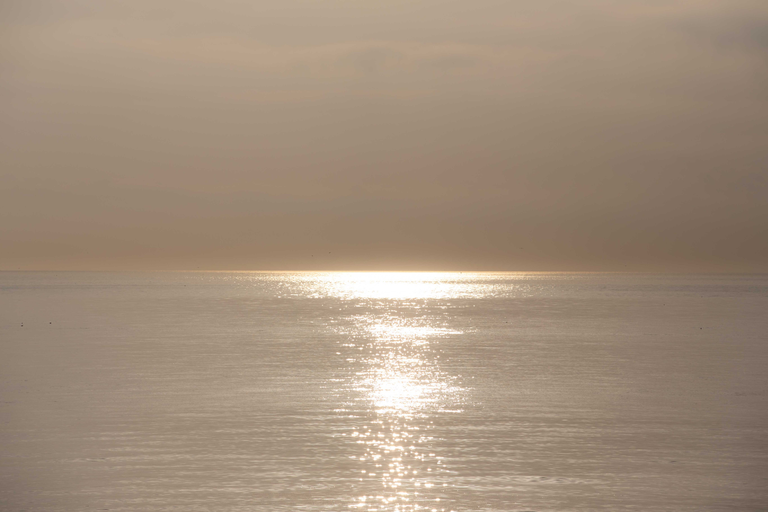 Anastasia Shapoval violoniste et photographe. Annecy — Geneve