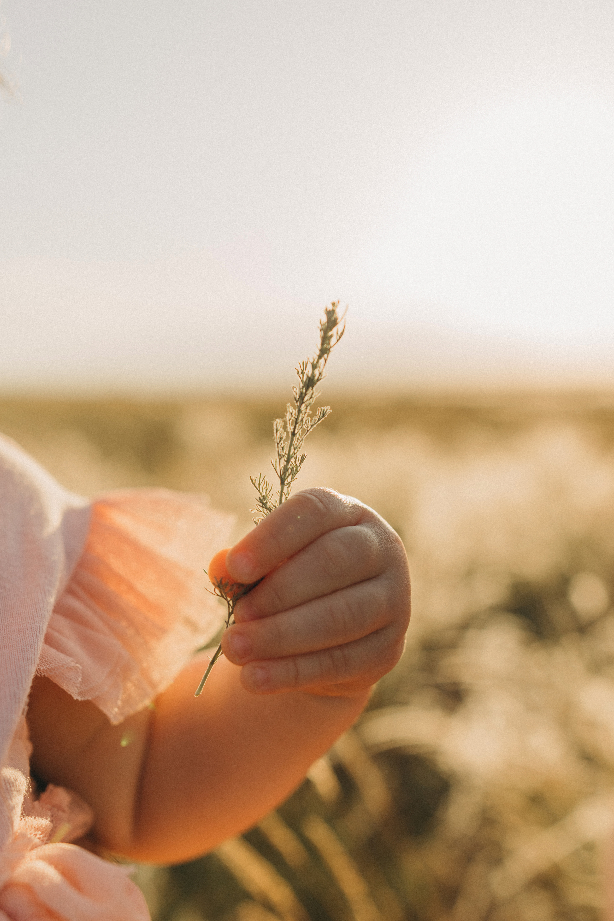 Лена, Данил и Лера. Семейный фотограф и детский фотограф в Волгограде Алеся Бутакова — дет