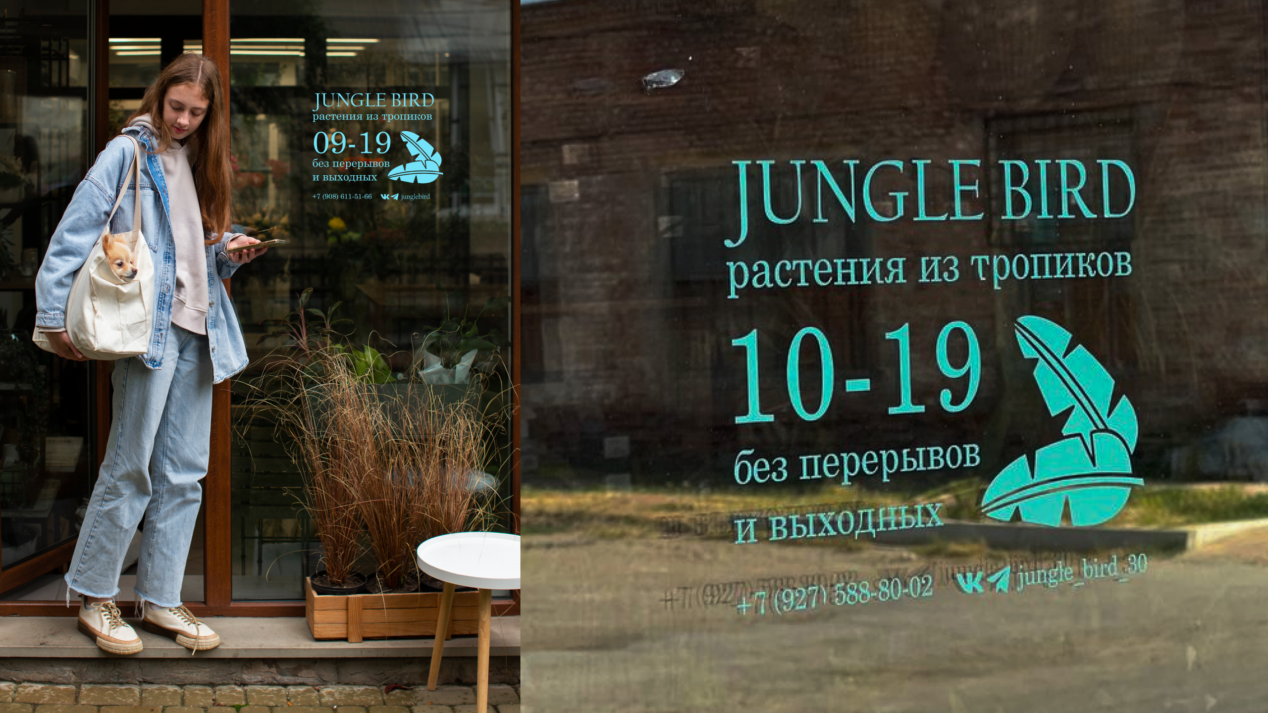 Магазин тропических растений. Саитова Ирина