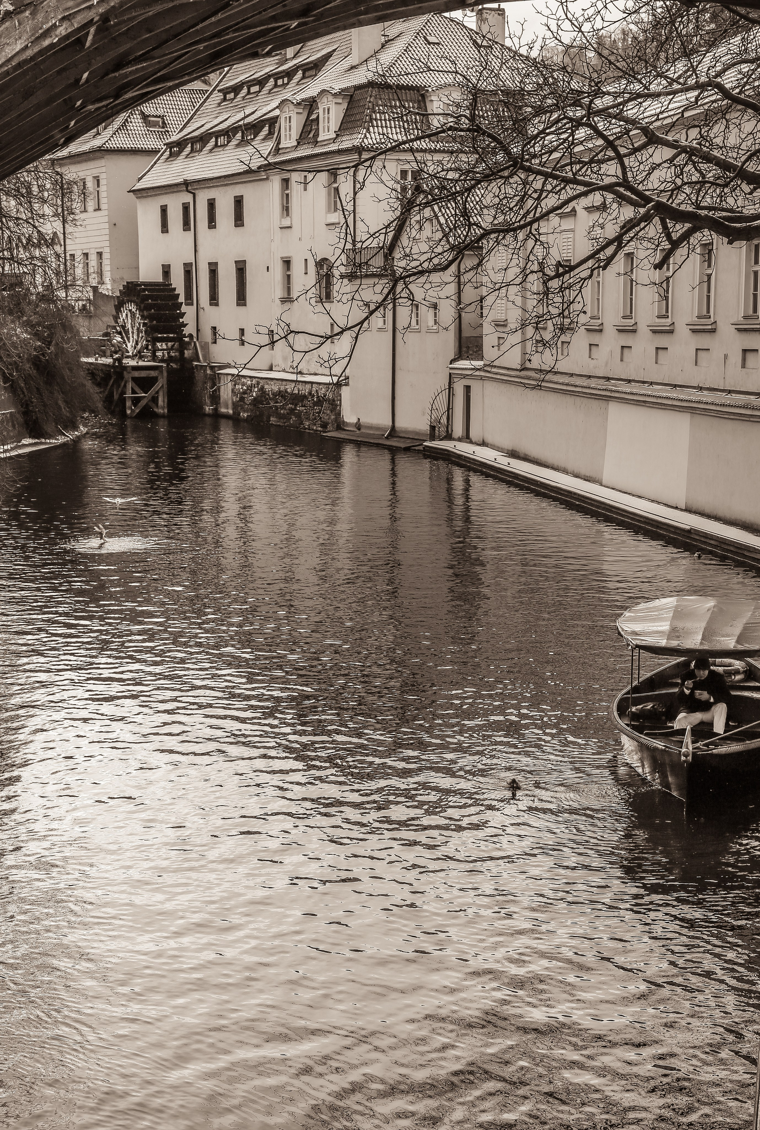 Чехия: Прага. Дарья Письменюк / Darya Leitstern — фотограф, музыкант, журналист, путешественник