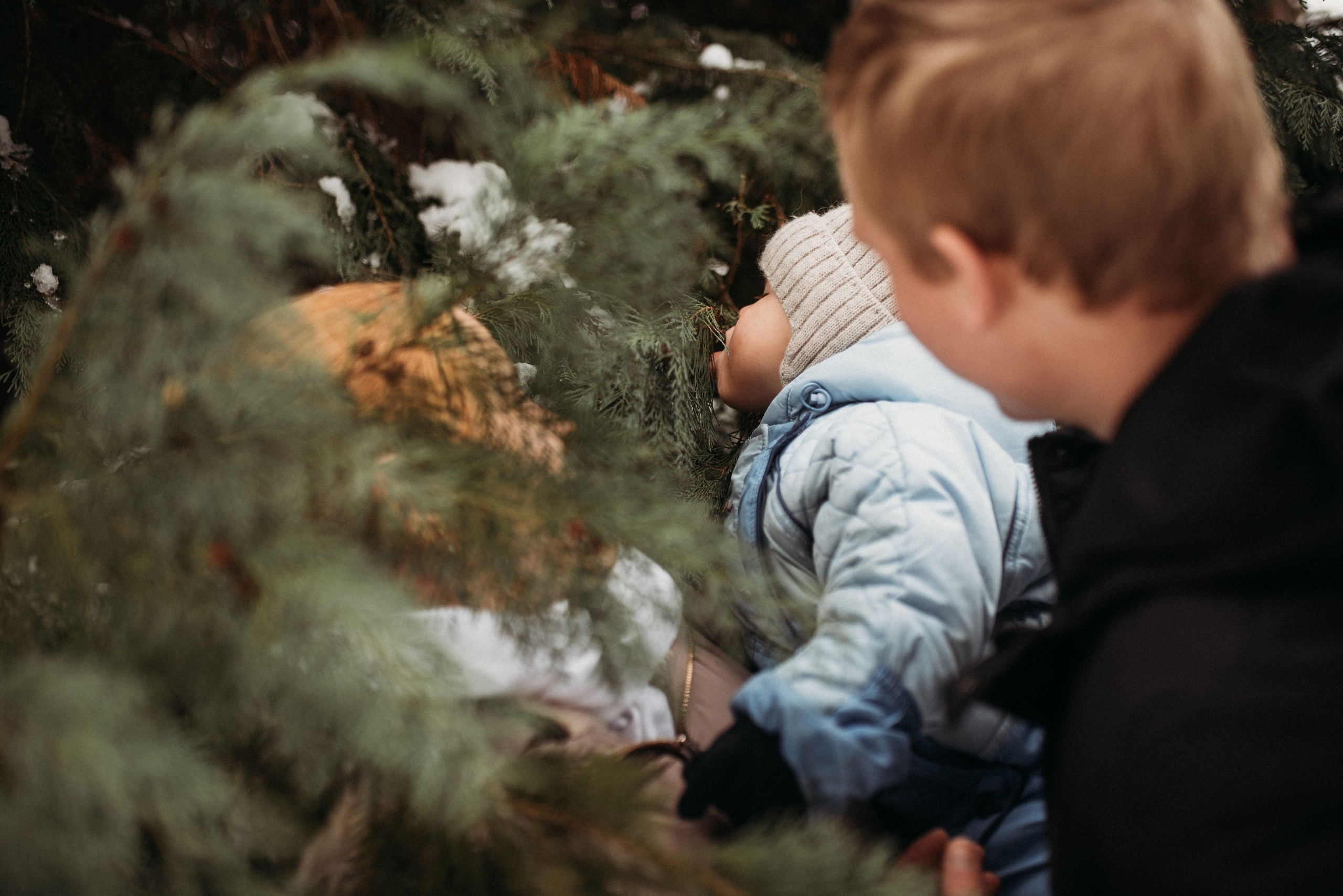 Серёжа и снег ❄️. Фотограф в Сочи — Маргарита Поганова