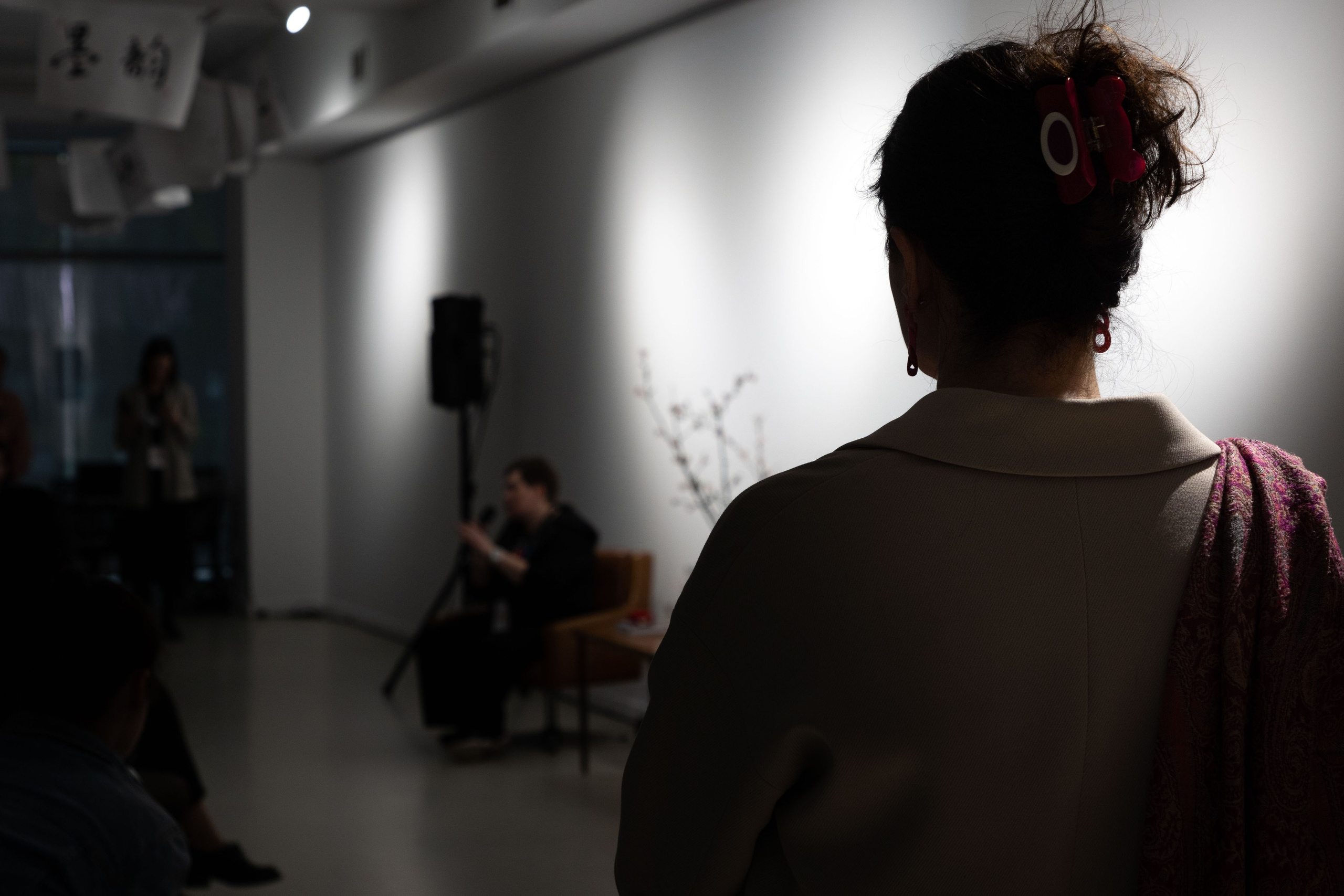 Фестиваль"Дальше” — Летература и культура Китая, Кореии и Японии. Photografer