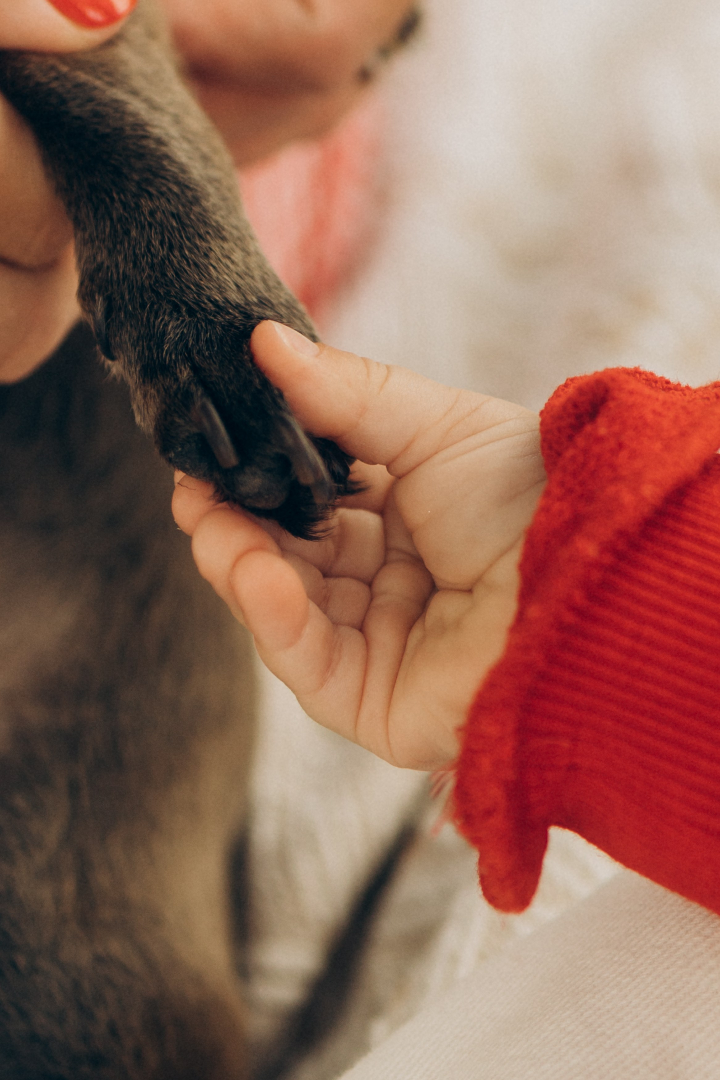  ньюборн, пушкин, павловск, спб, семейная фотосессия, семейная съёмка, мама и дочка, фотосессия на природе, фотосессия на улице