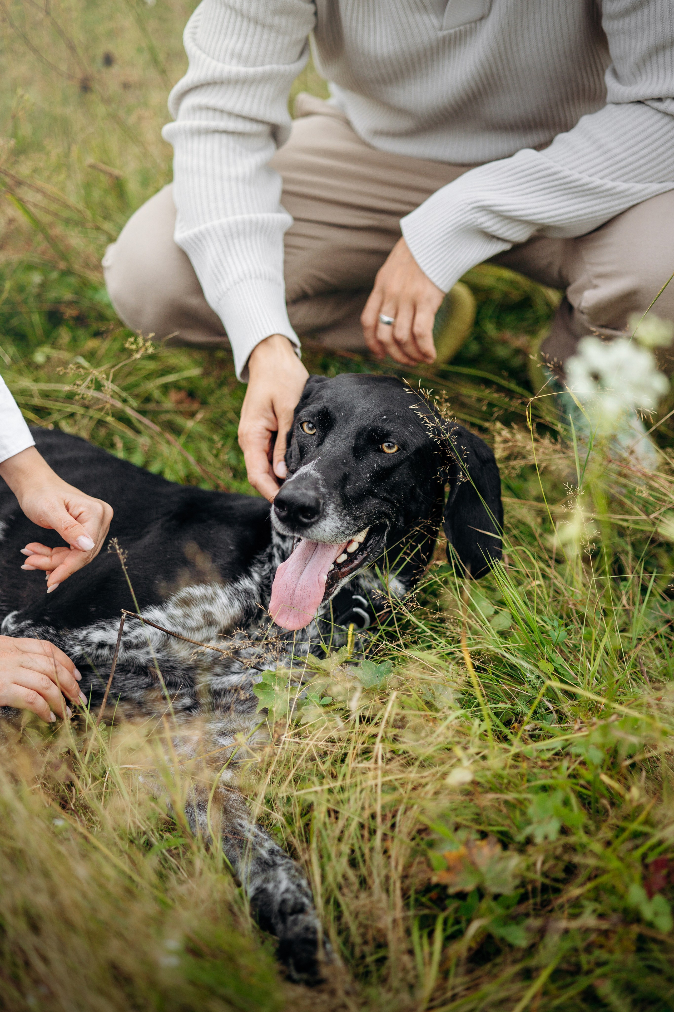 Хеликс и его семья. Фотограф — Анималист | Санкт-Петербург