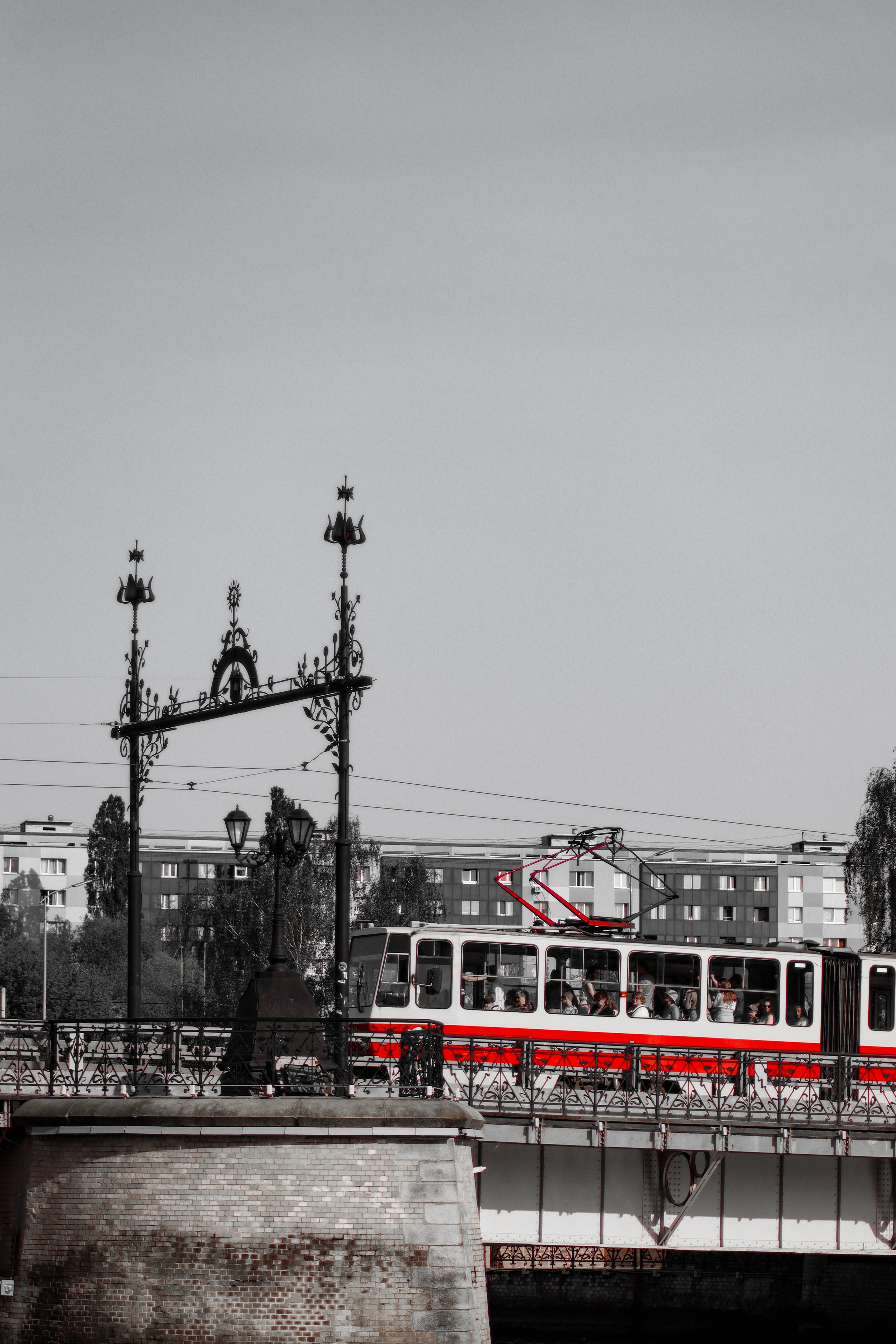 О Д И Н — Ц В Е Т. — Digital Noise —