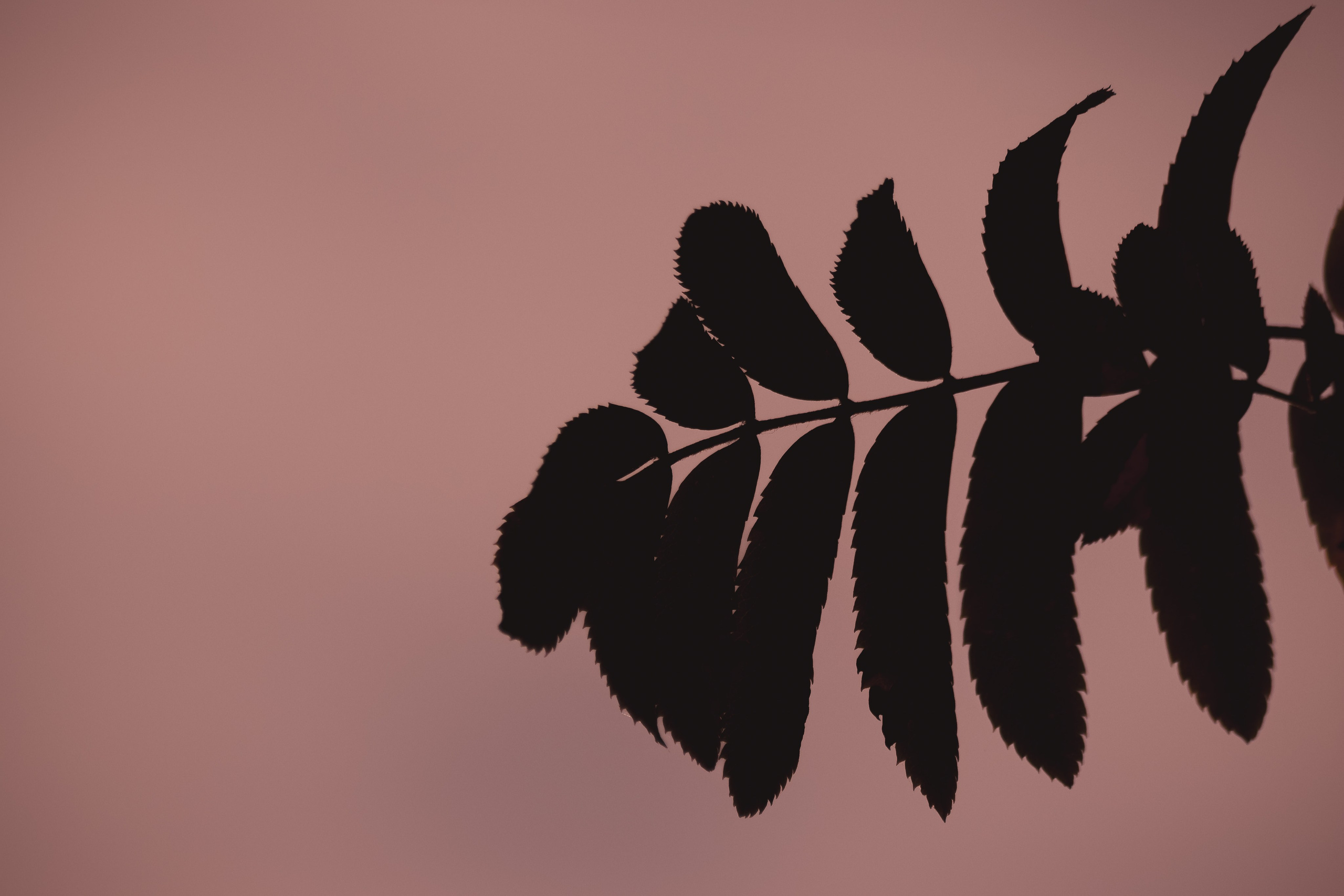 М И Н И М А Л И З М. — Digital Noise —